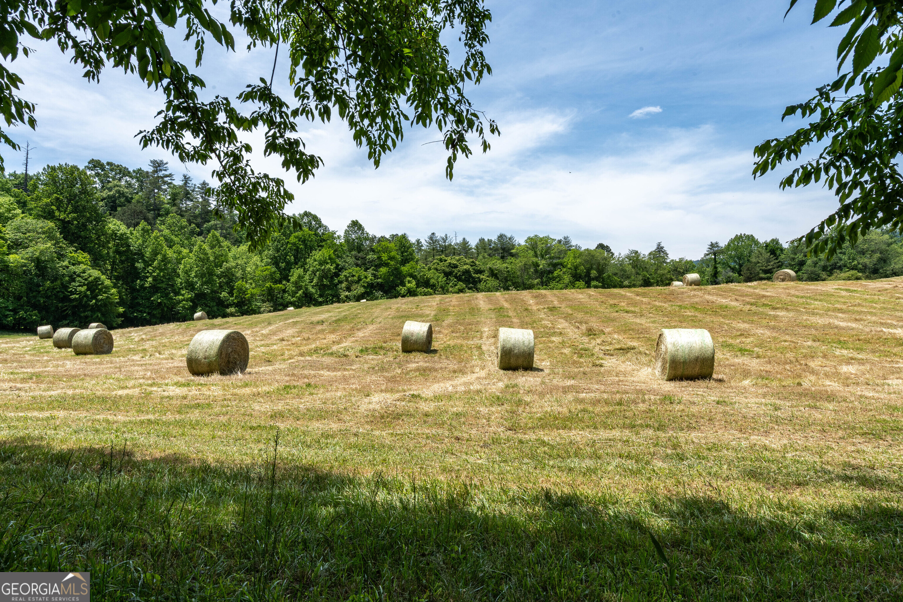 3674 Us 19 Property Photo 55