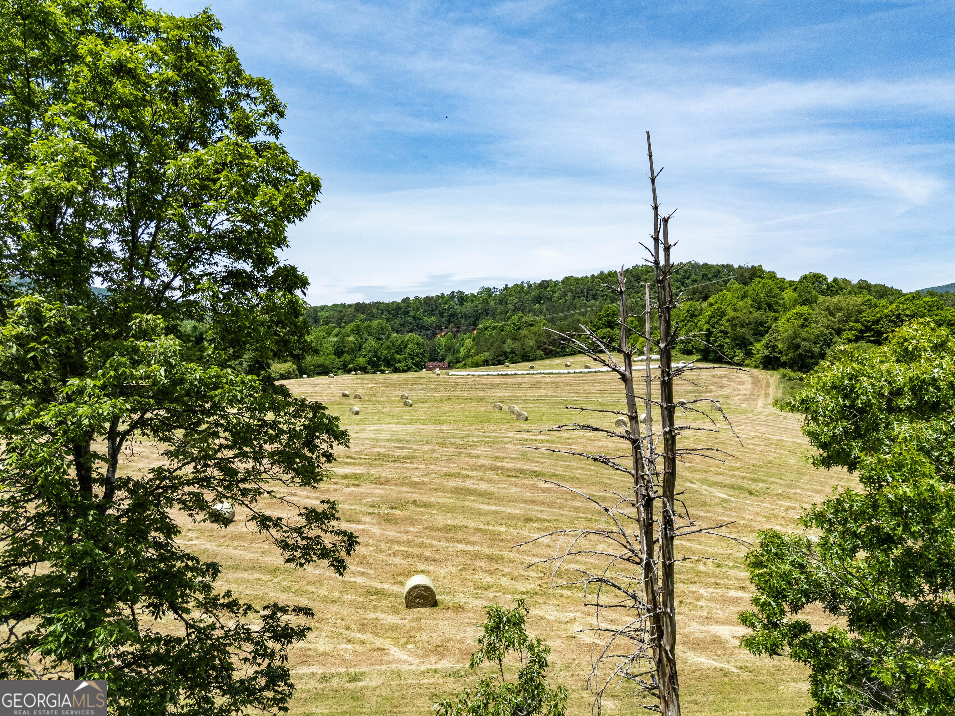 3674 Us 19 Property Photo 56