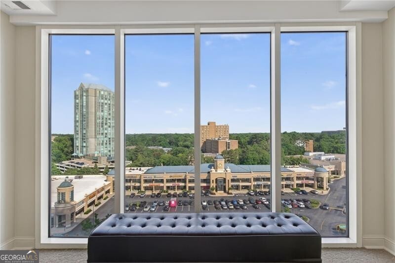 2881 Peachtree Road Ne # 1102 Property Photo 30