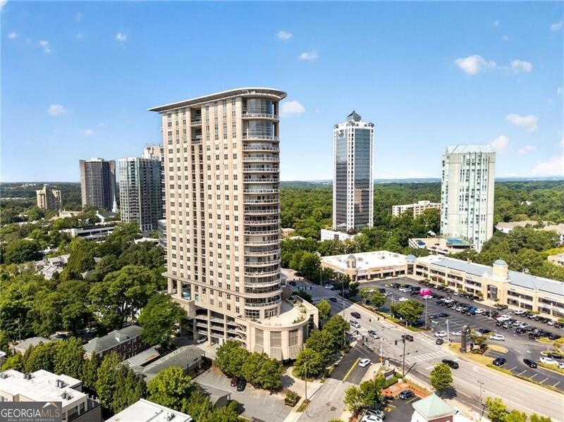 2881 Peachtree Road Ne # 1102 Property Photo 49