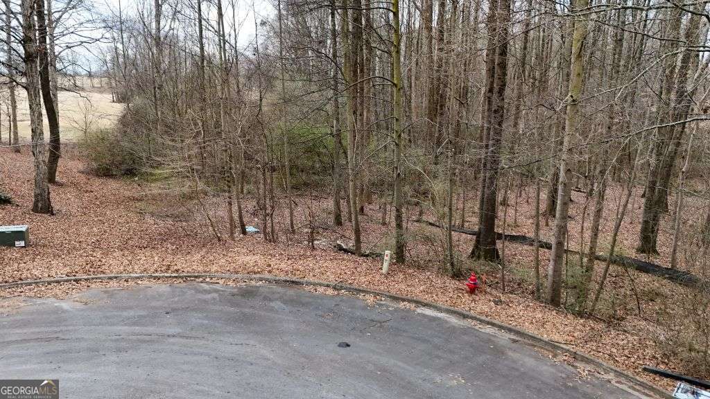 203 Adams Drive Property Photo 2