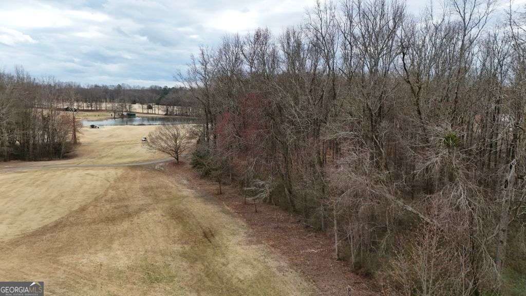 203 Adams Drive Property Photo 6