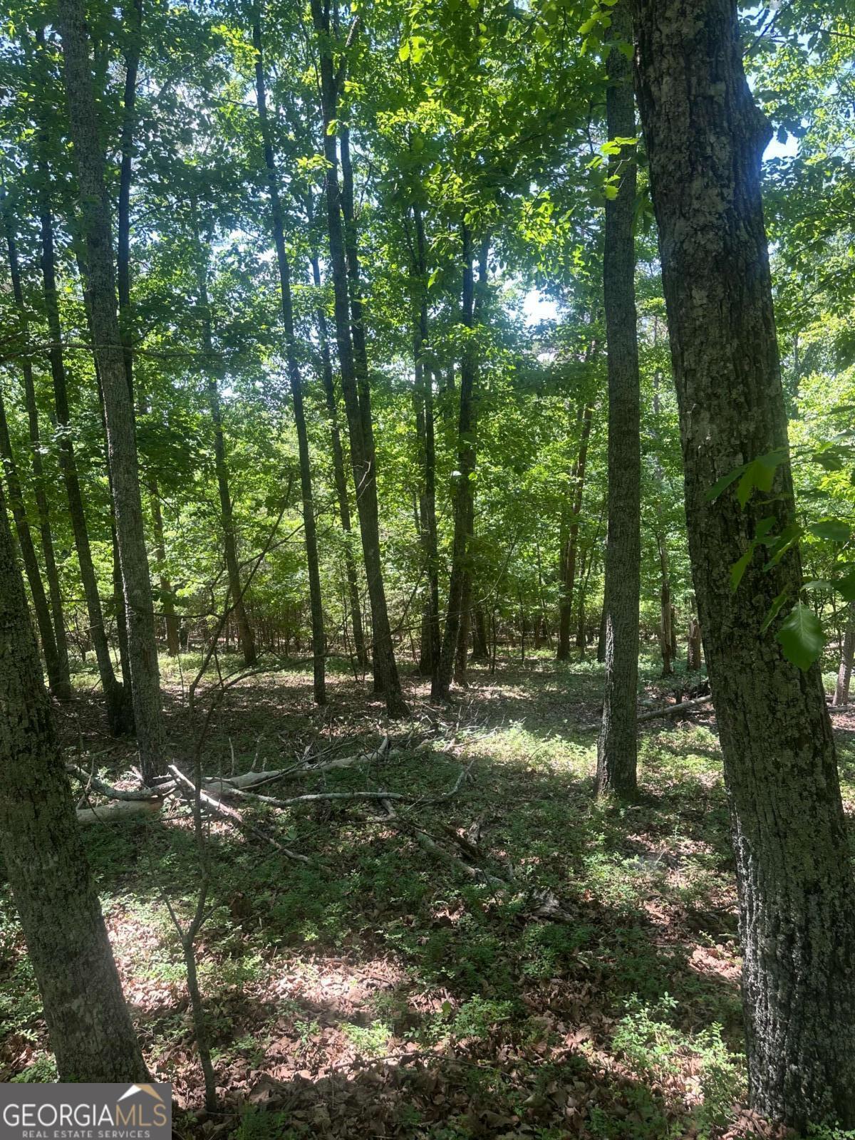 0 Owl Ridge Way Property Photo 1