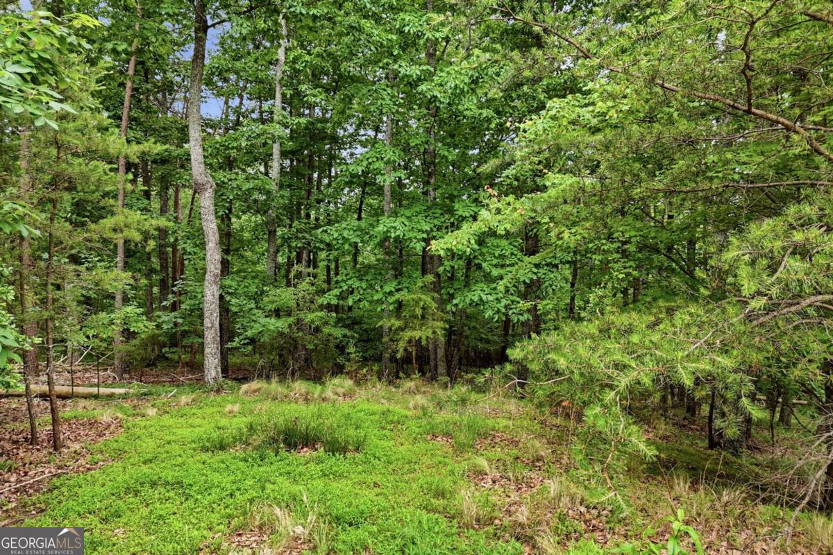 0 Owl Ridge Way Property Photo 7