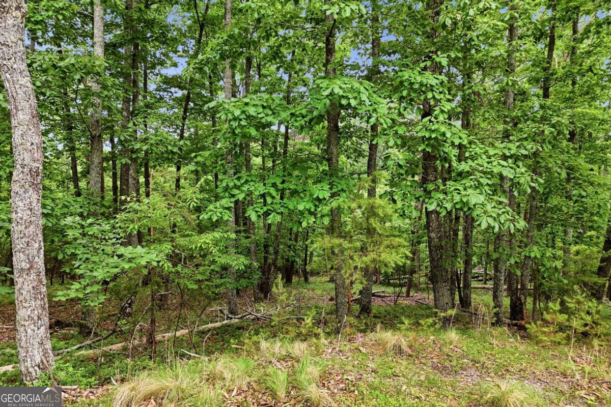 0 Owl Ridge Way Property Photo 8