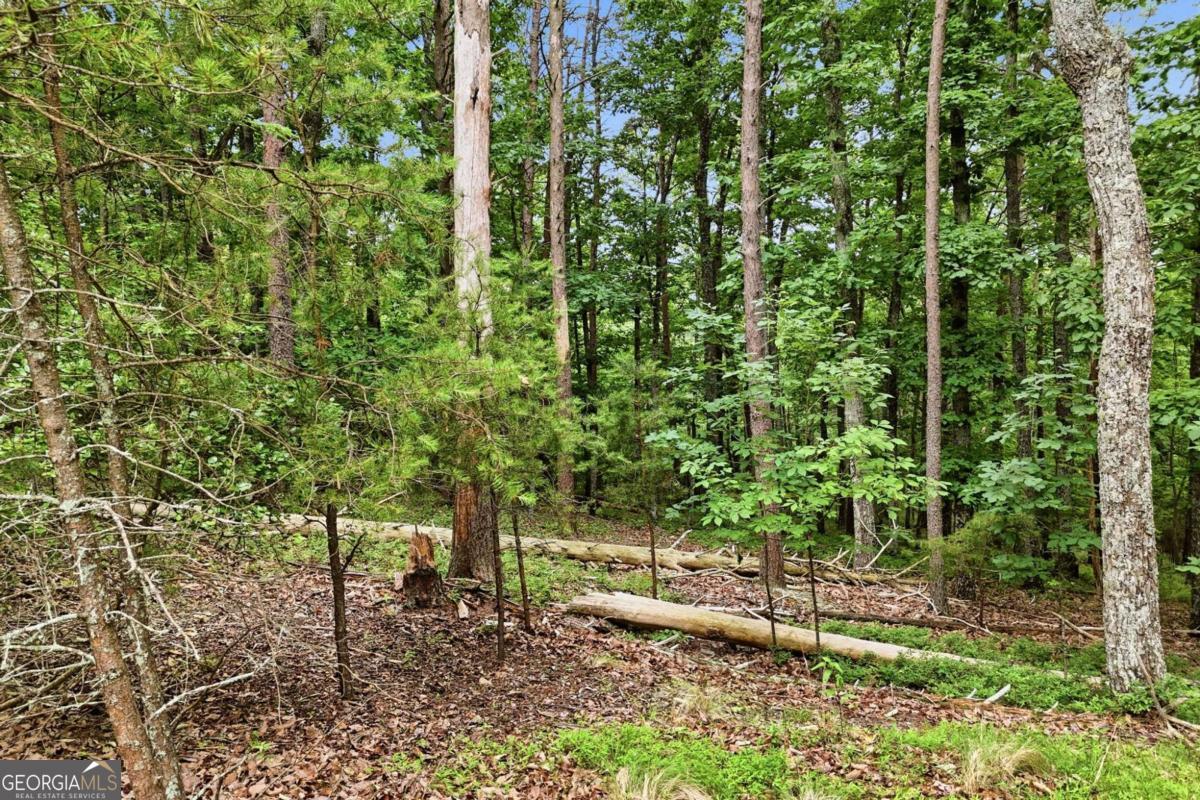 0 Owl Ridge Way Property Photo 9