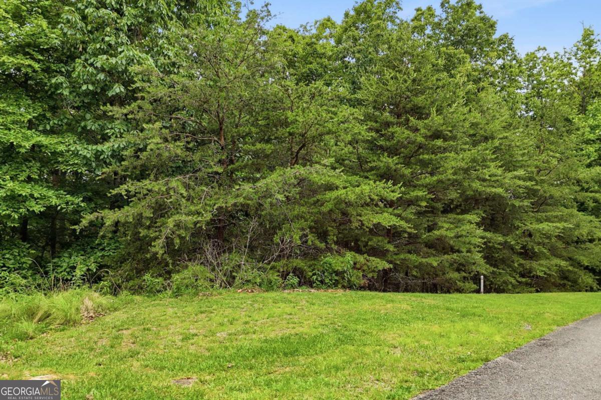 0 Owl Ridge Way Property Photo 10