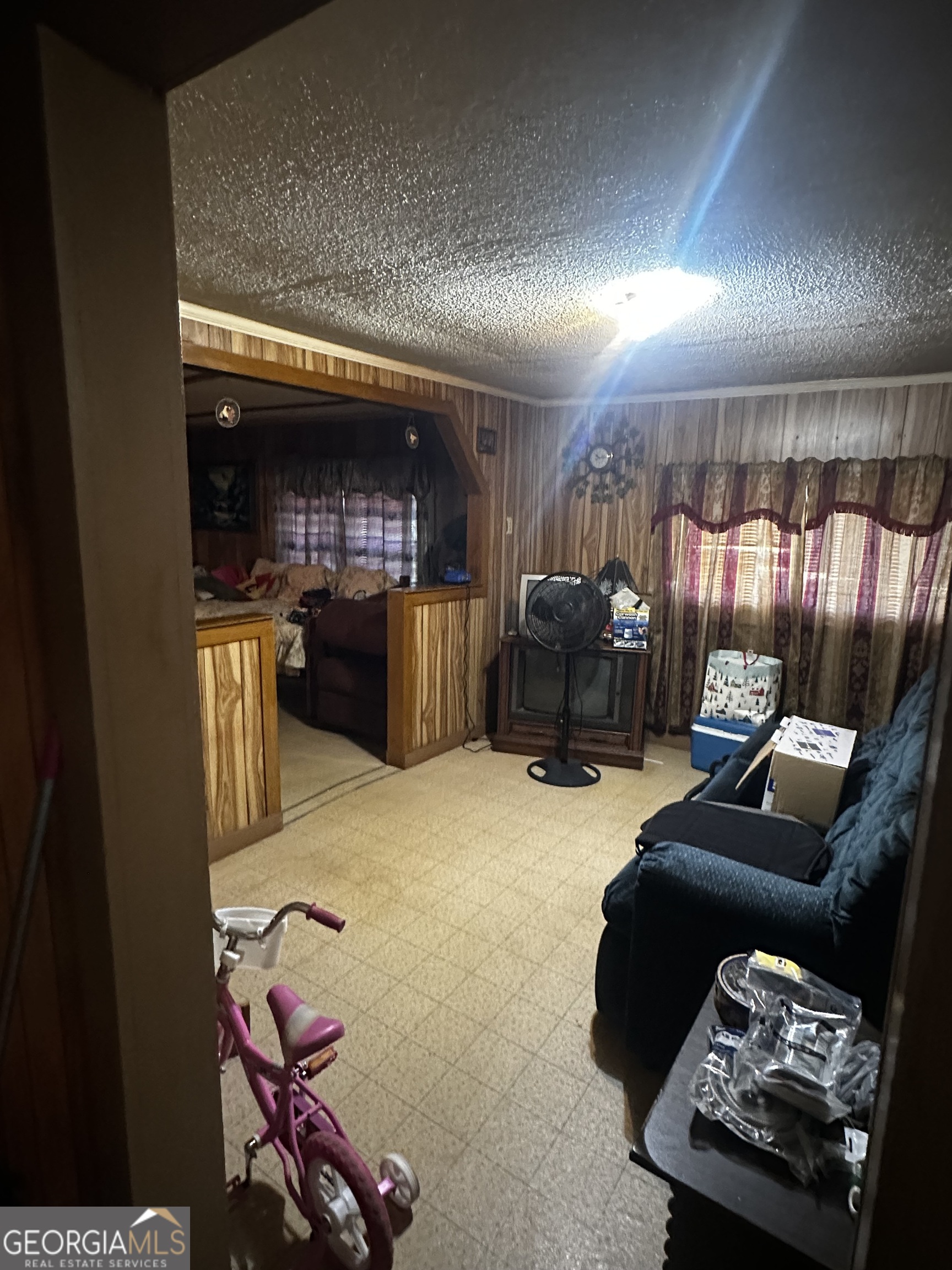 164 Ga Highway 308 Property Photo 10