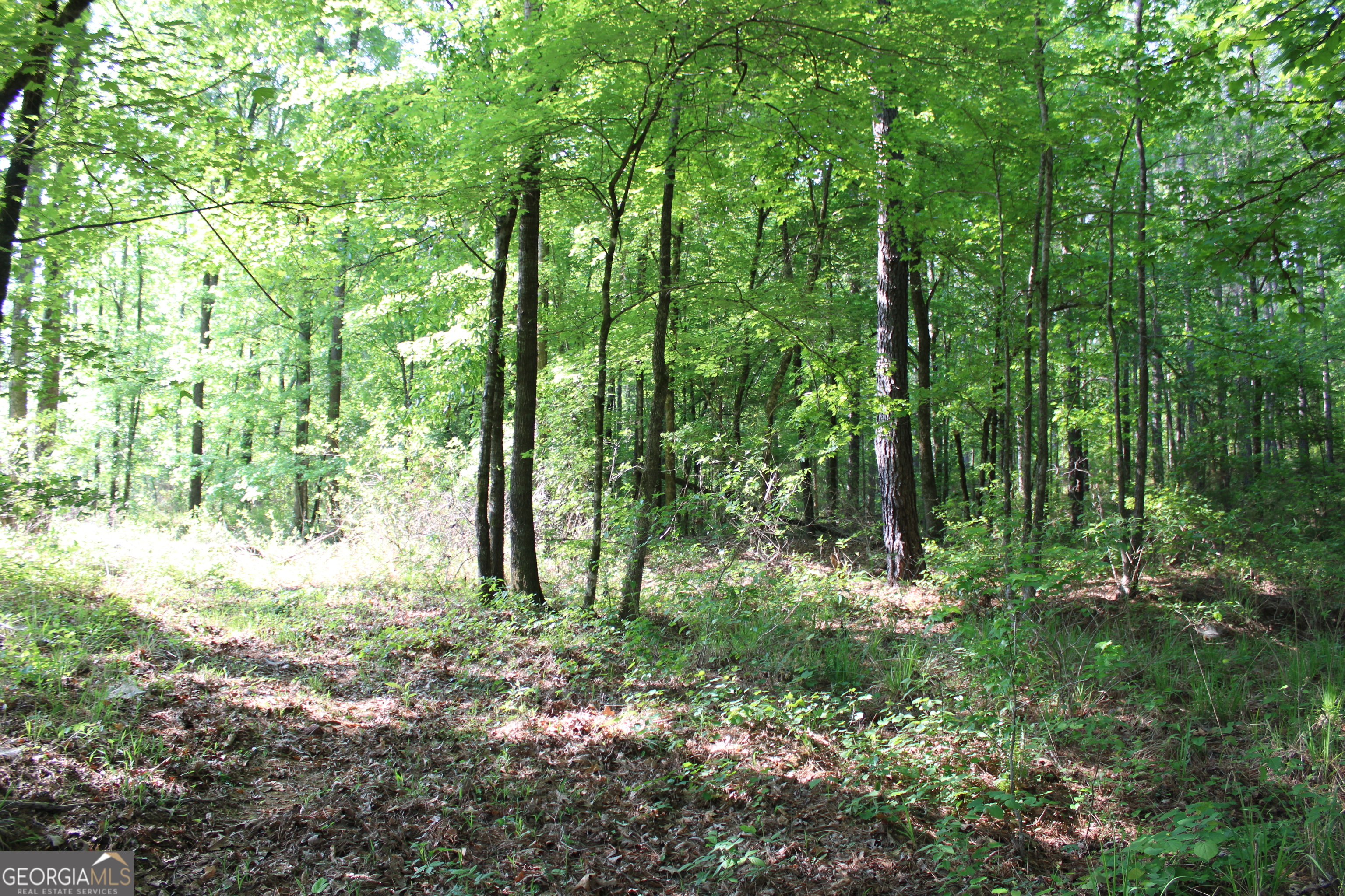 0 Ga Hwy 87 Tract 1 Property Photo 1