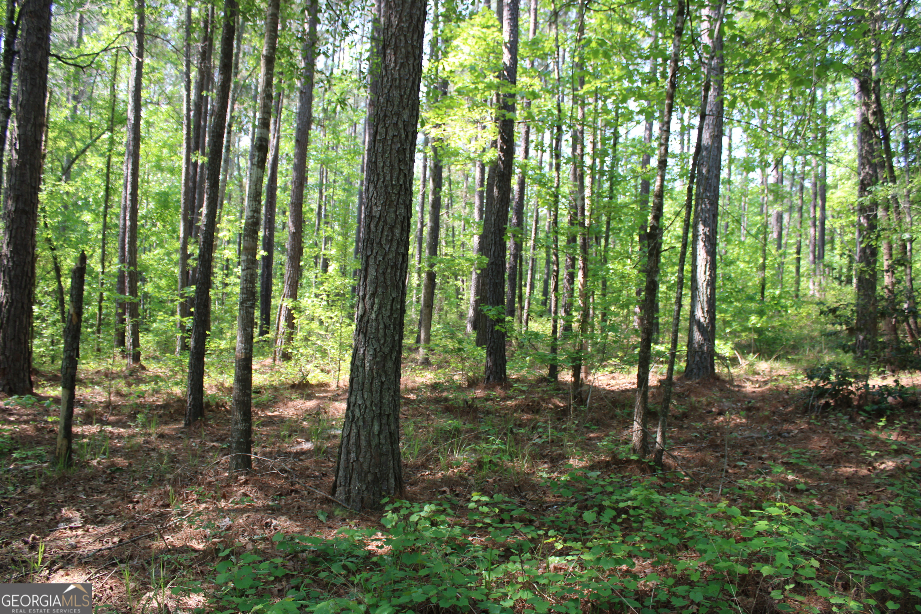 0 Hwy 87 Tract 2 Property Photo 1