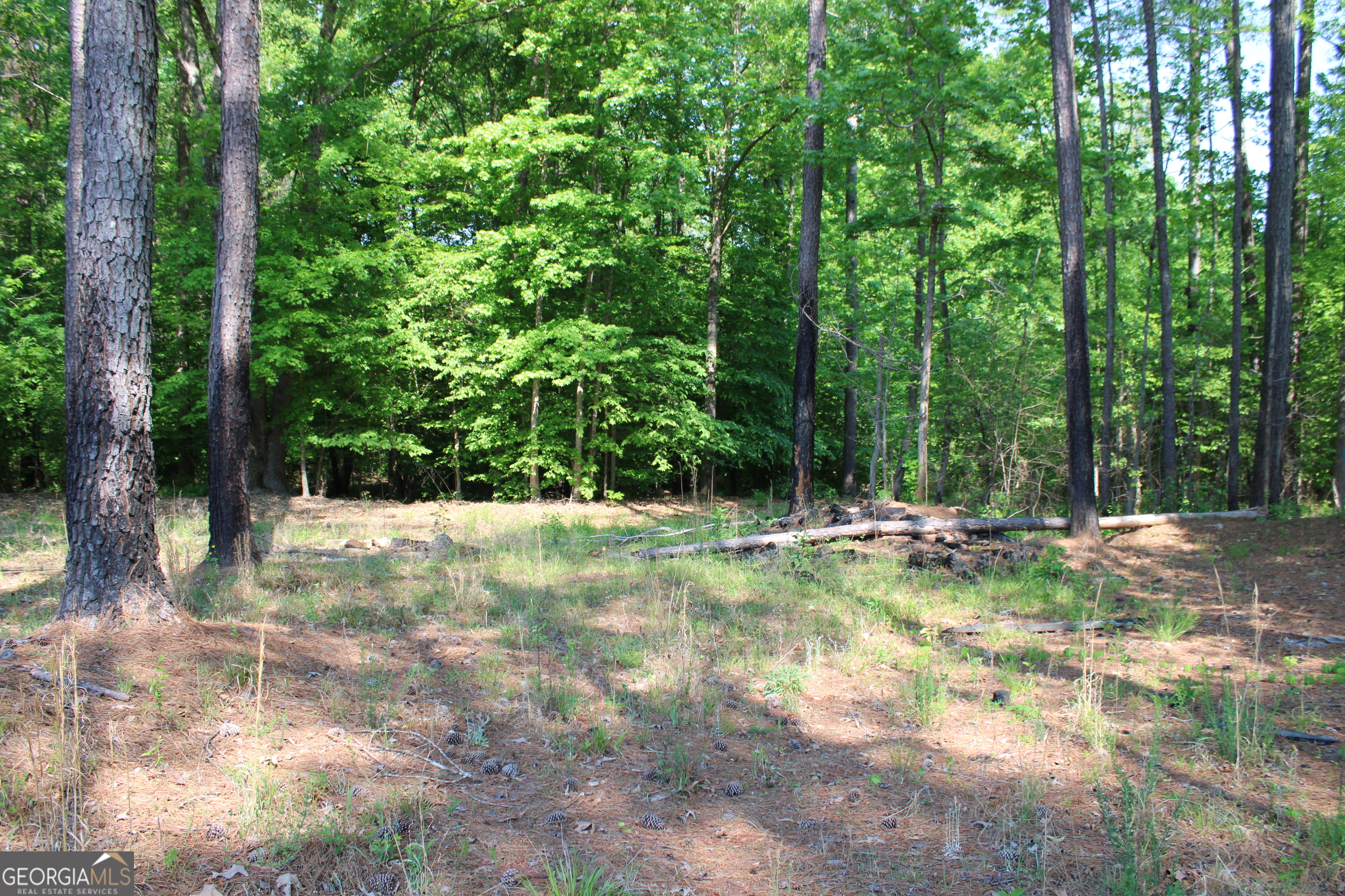 0 Hwy 87 Tract 3 Property Photo 1