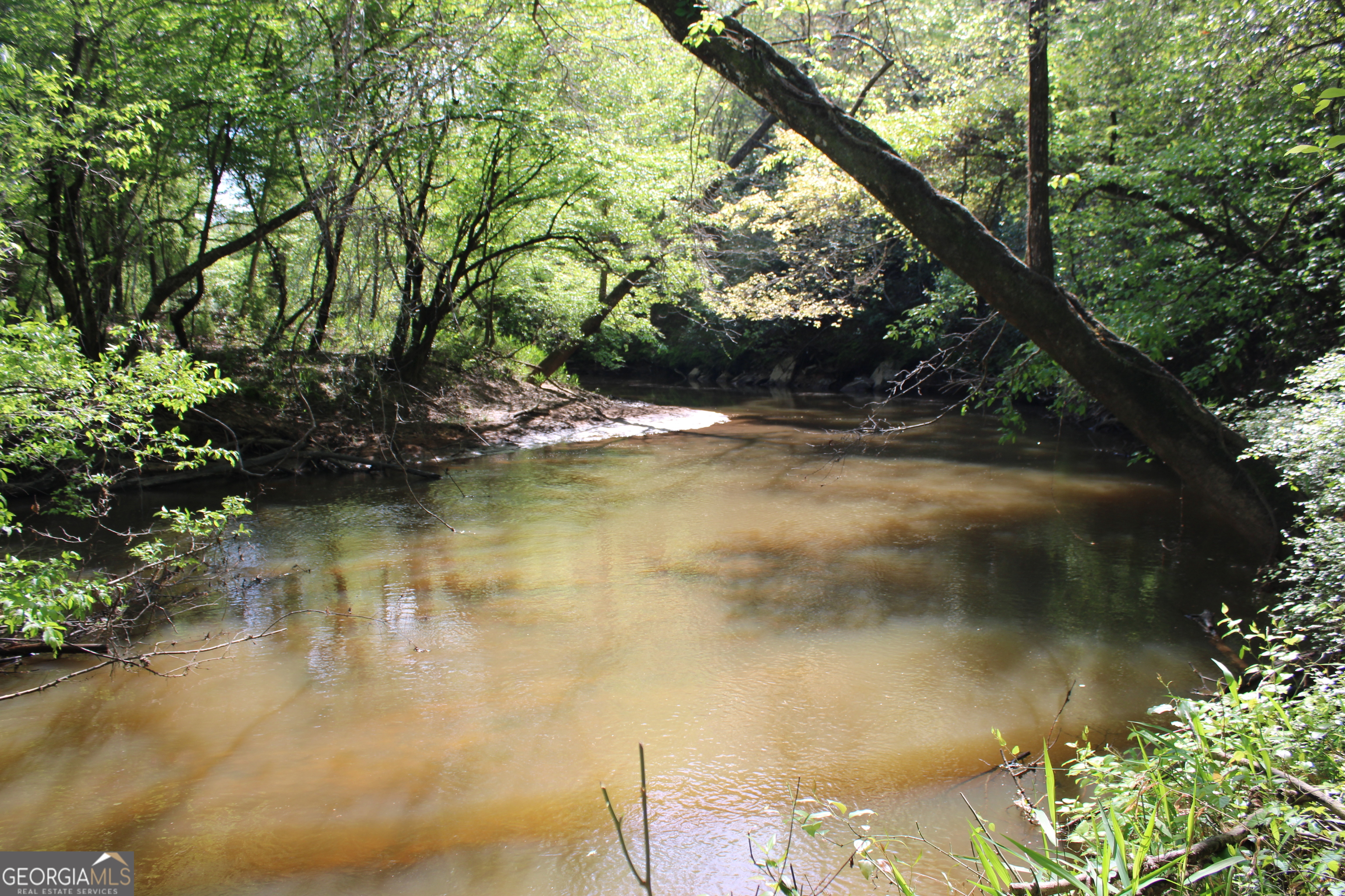 0 Ruffner Road Property Photo 1