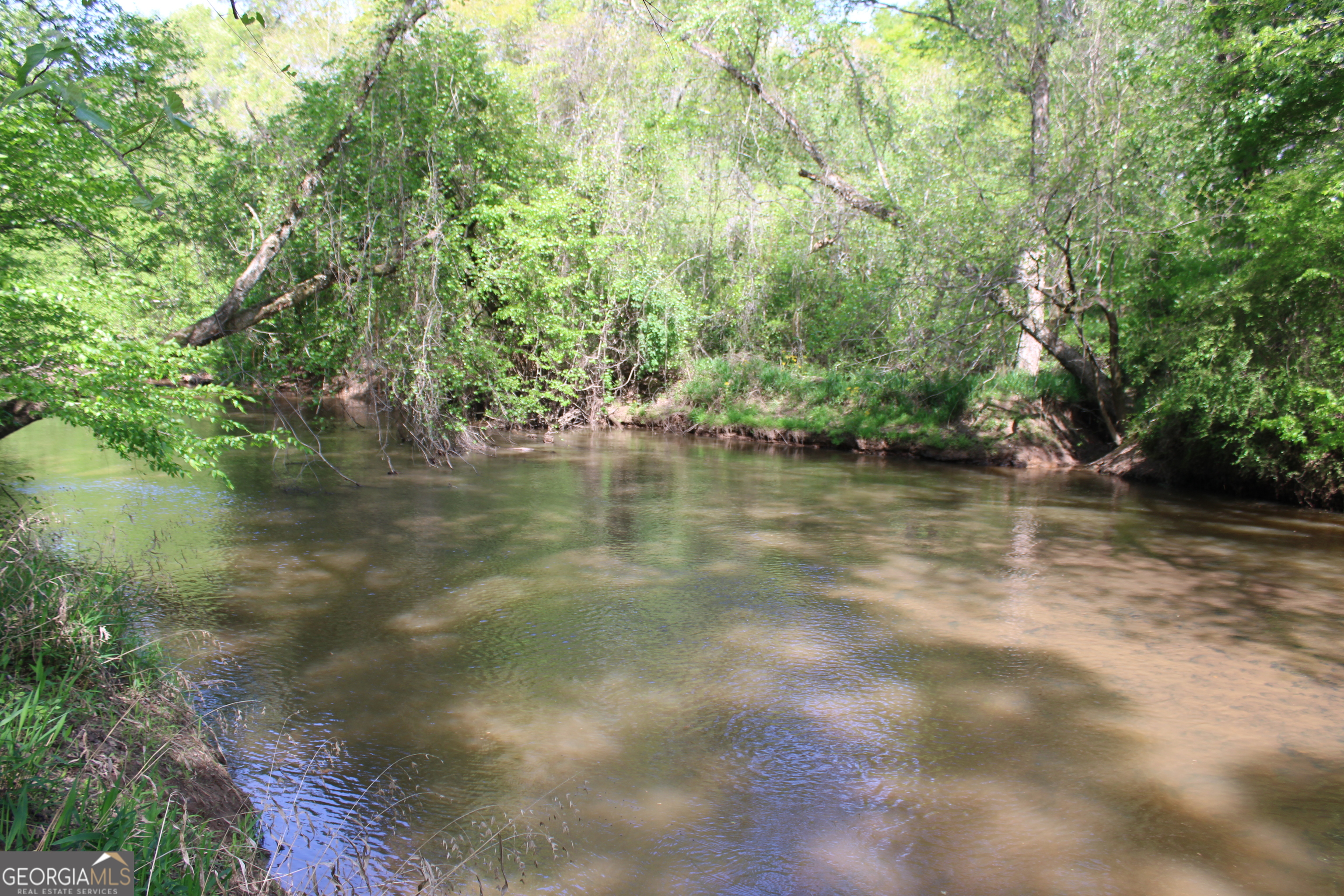 0 Ruffner Road Property Photo 2
