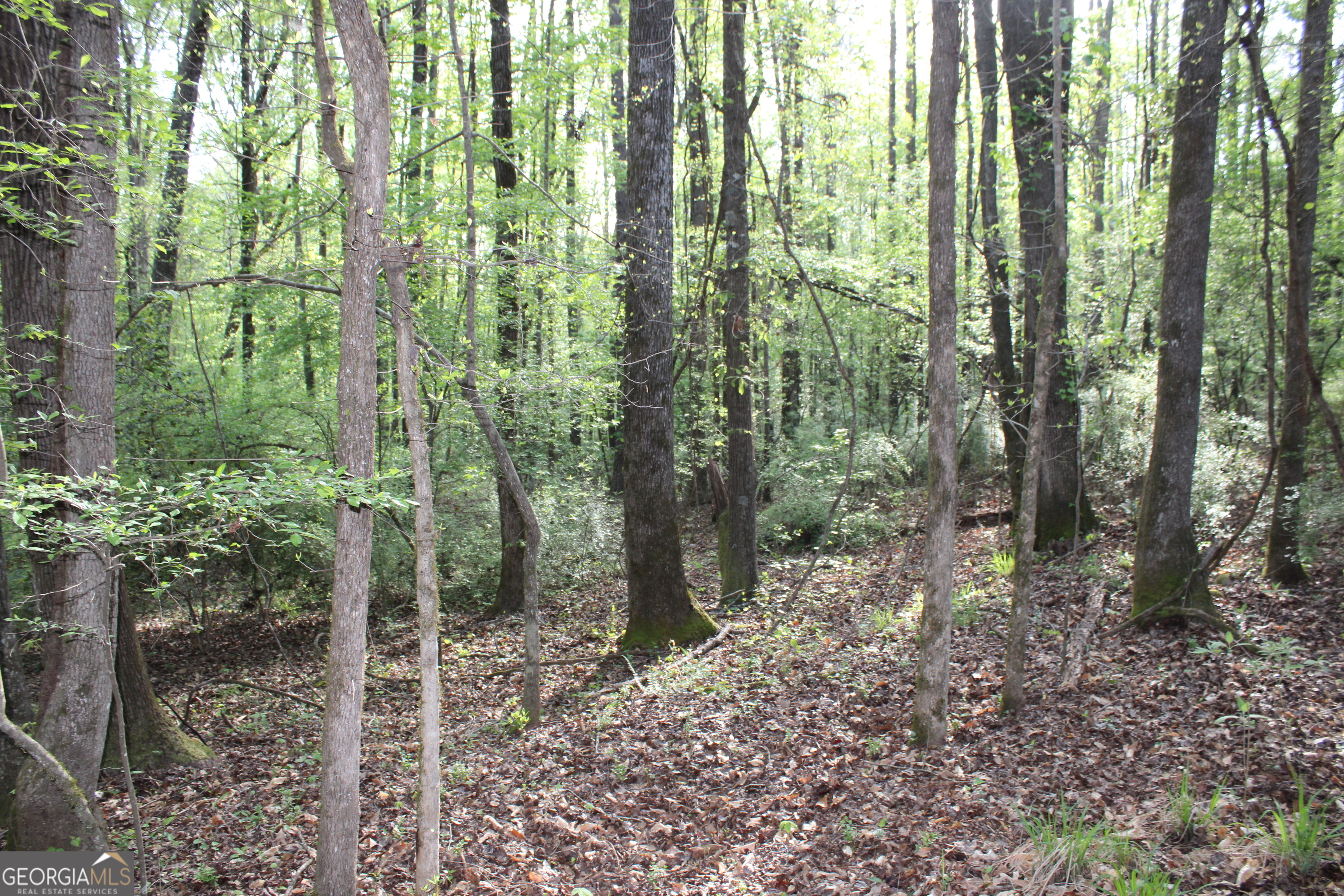 0 Ruffner Road Property Photo 8