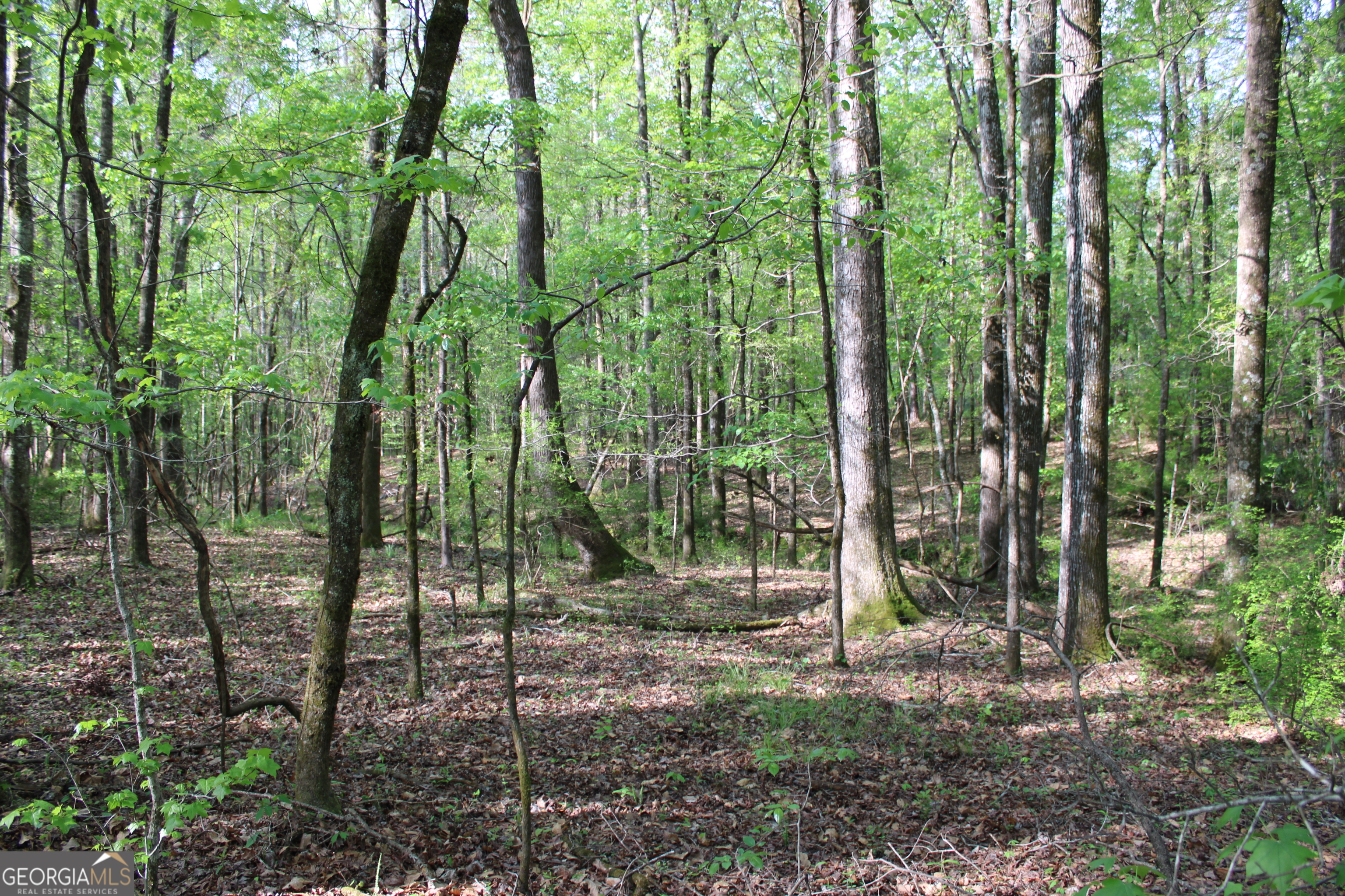 0 Ruffner Road Property Photo 9