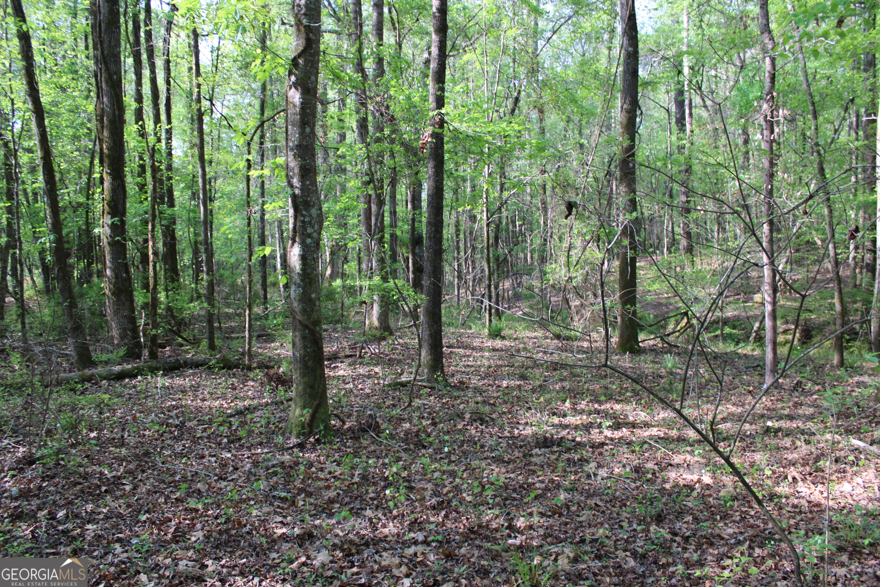 0 Ruffner Road Property Photo 10