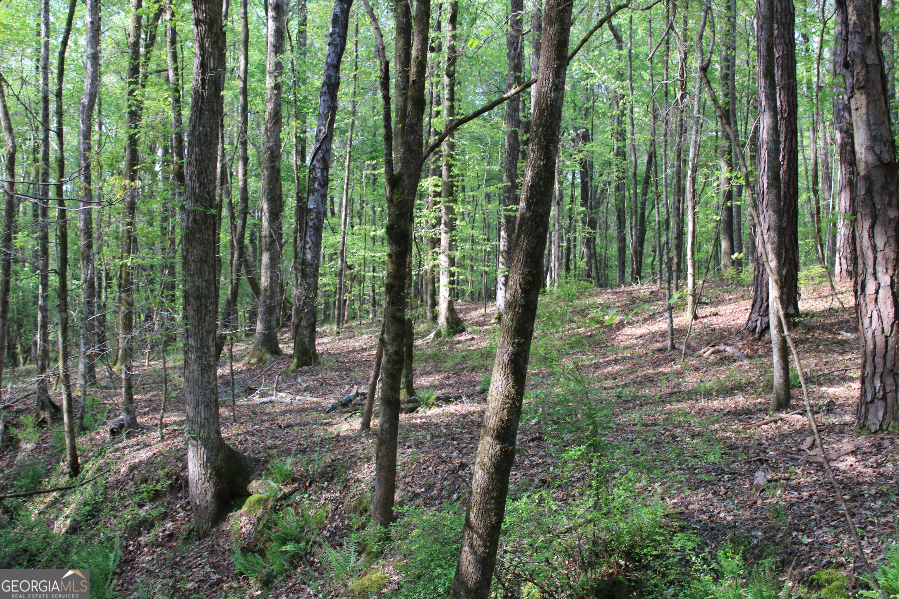 0 Ruffner Road Property Photo 11