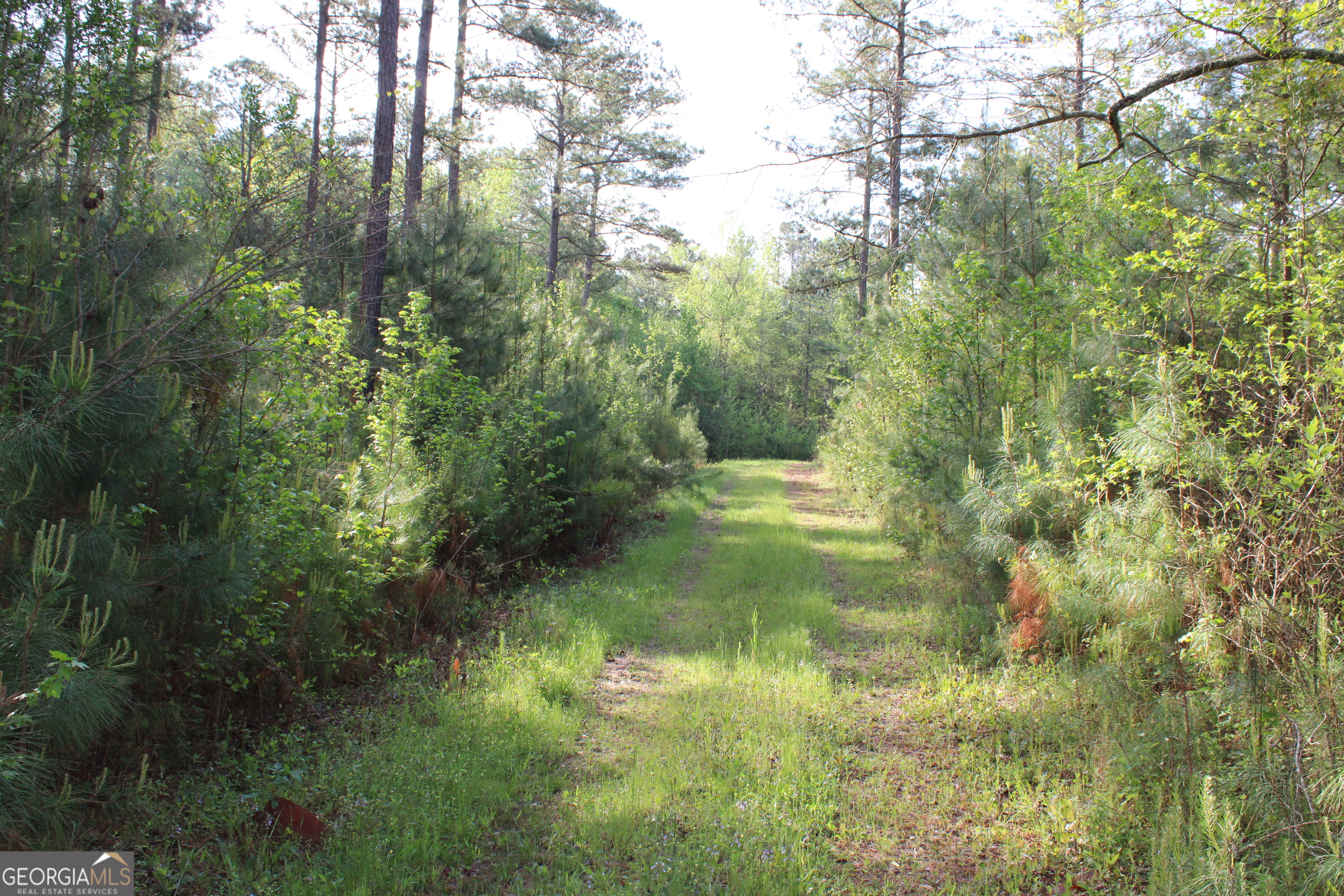 0 Ruffner Road Property Photo 12