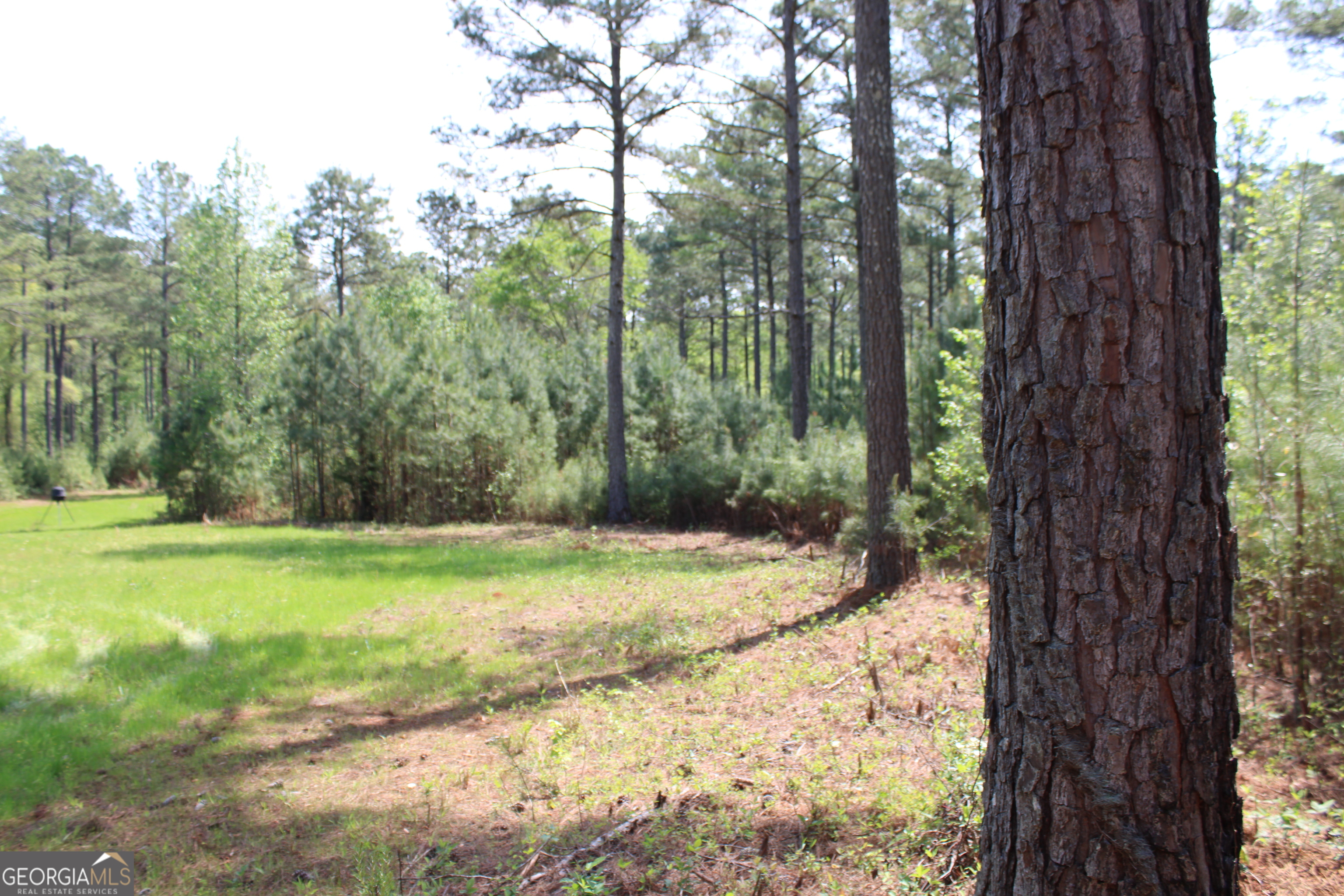 0 Ruffner Road Property Photo 13
