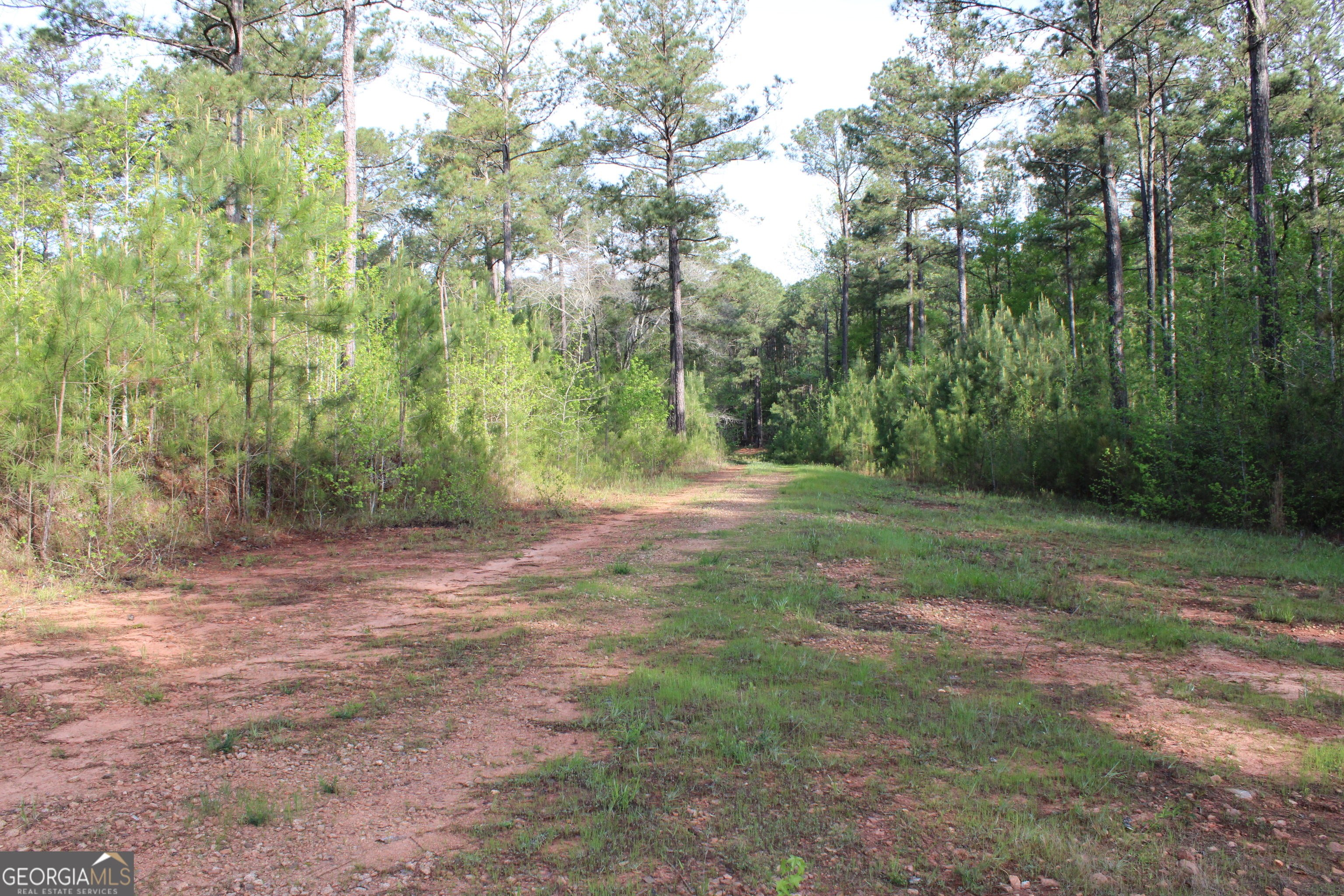 0 Ruffner Road Property Photo 15