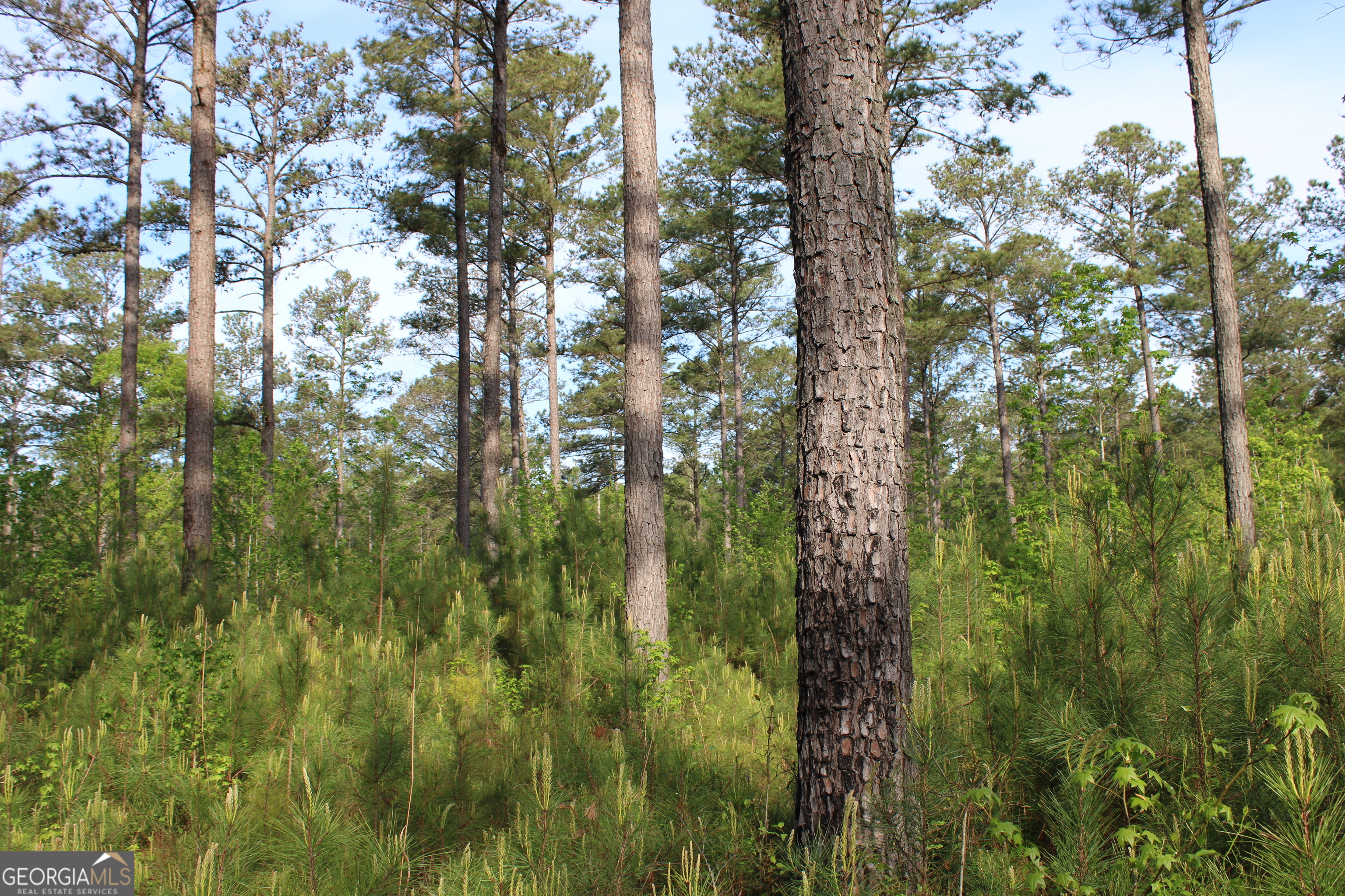 0 Ruffner Road Property Photo 19