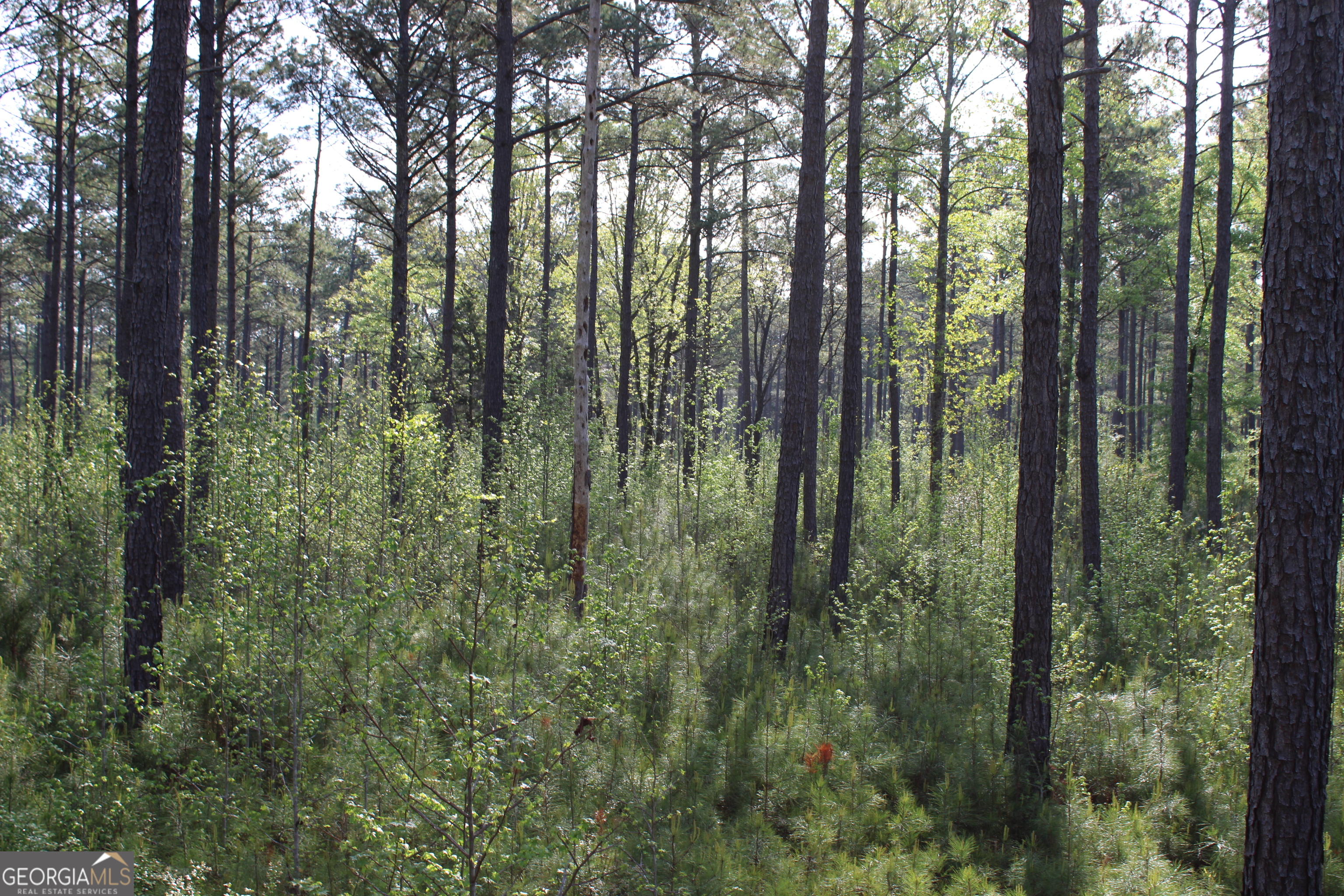 0 Ruffner Road Property Photo 22