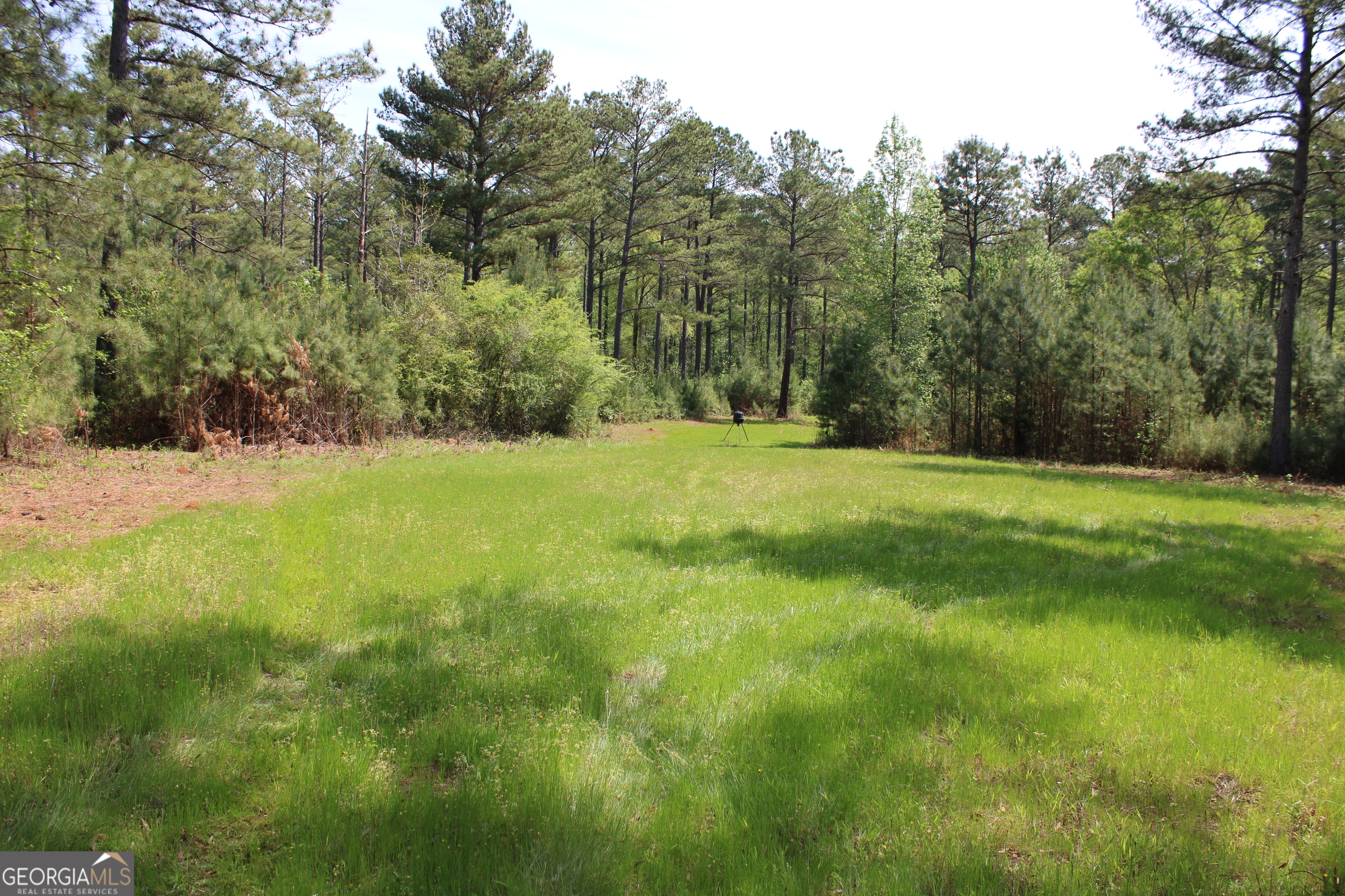 0 Ruffner Road Property Photo 23