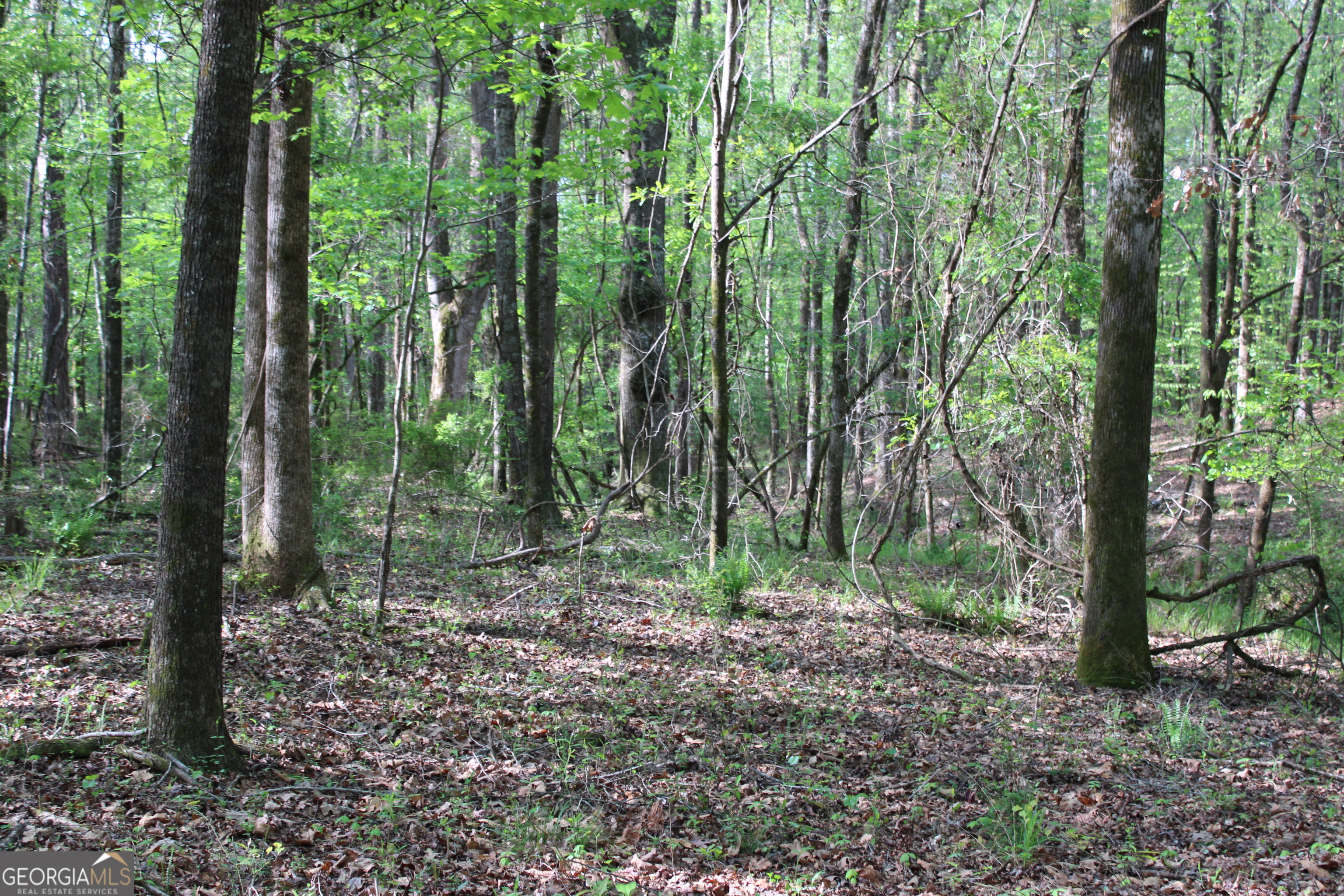 0 Ruffner Road Property Photo 25