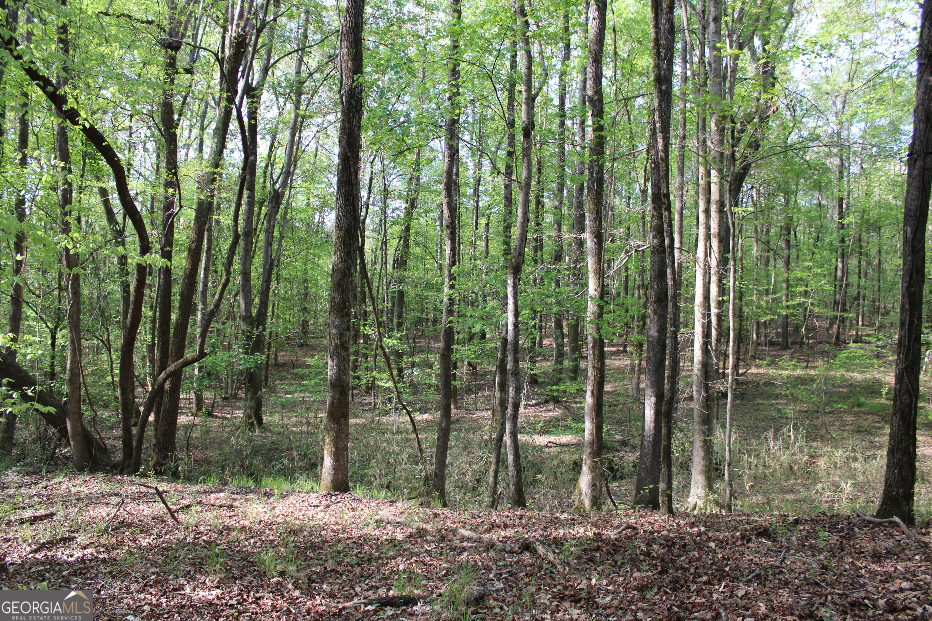 0 Ruffner Road Property Photo 27