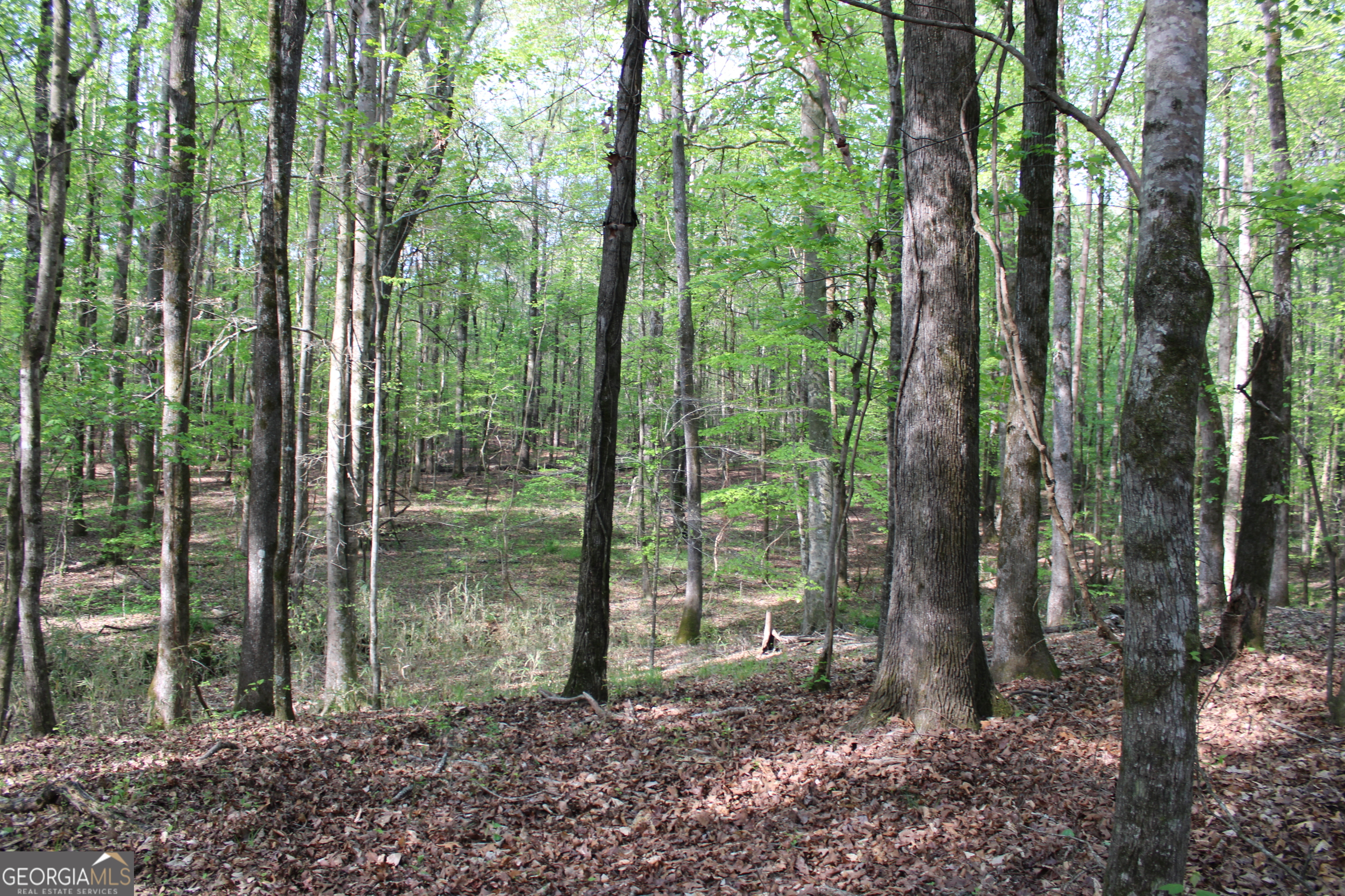 0 Ruffner Road Property Photo 28