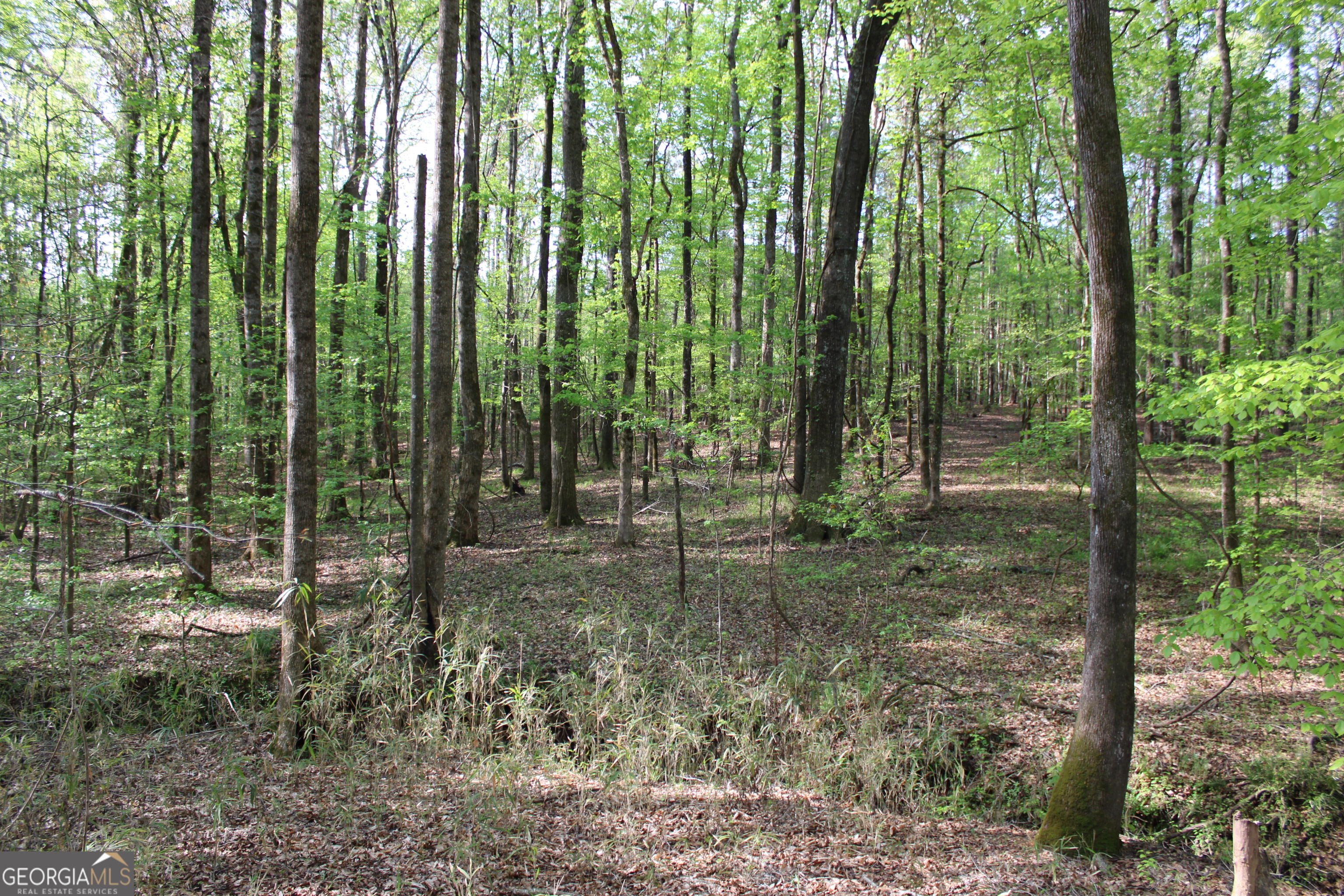 0 Ruffner Road Property Photo 29