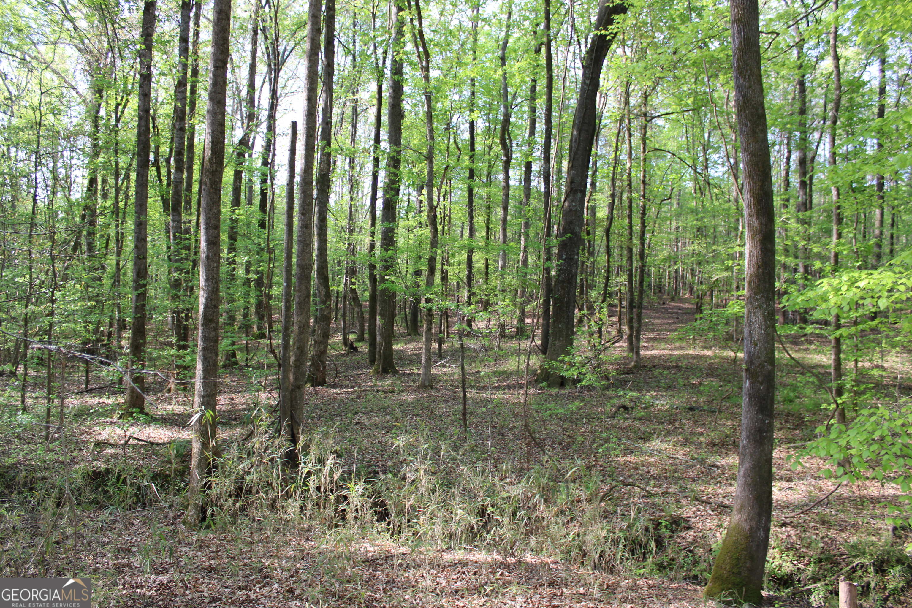 0 Ruffner Road Property Photo 30