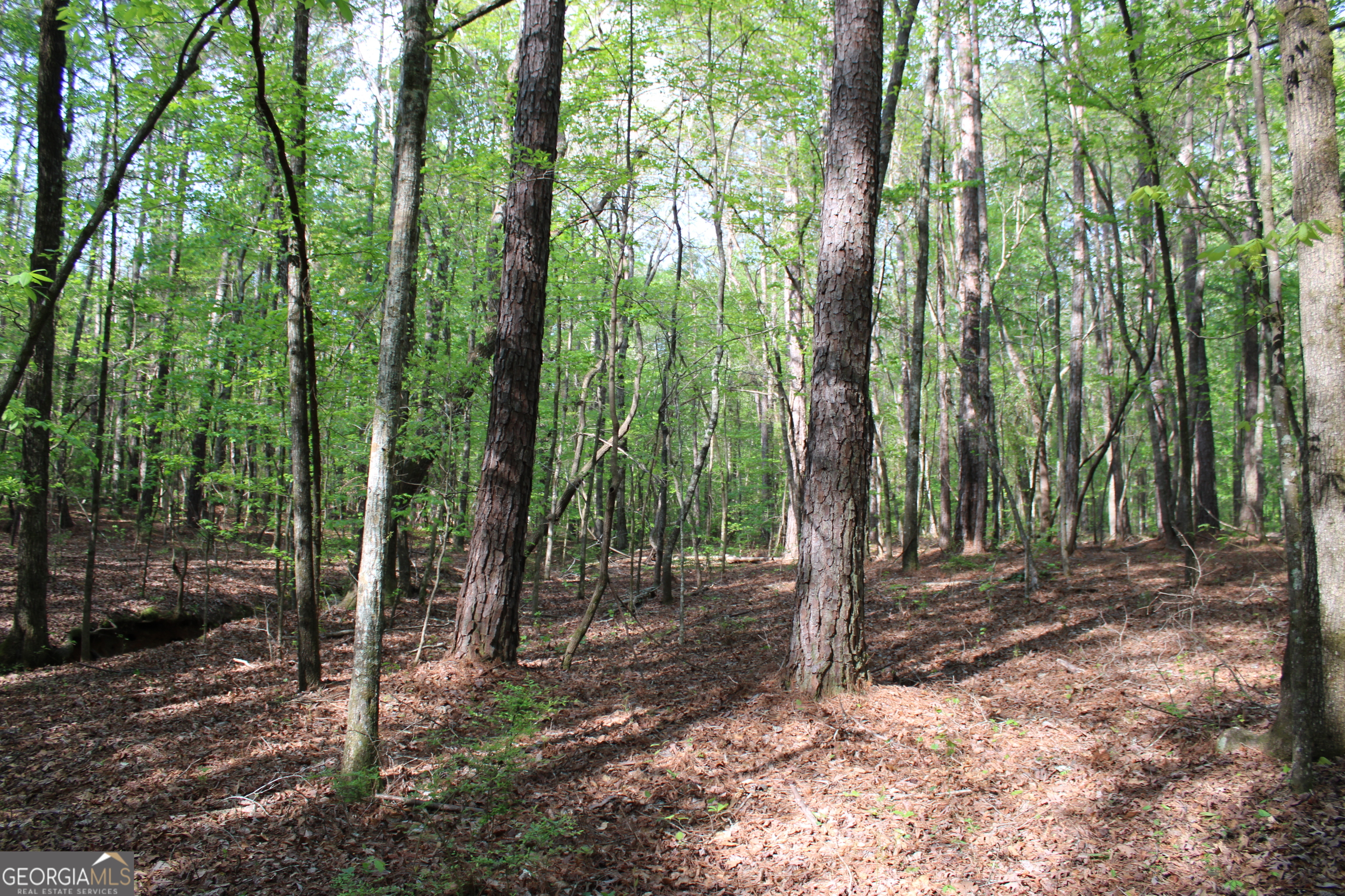 0 Ruffner Road Property Photo 31