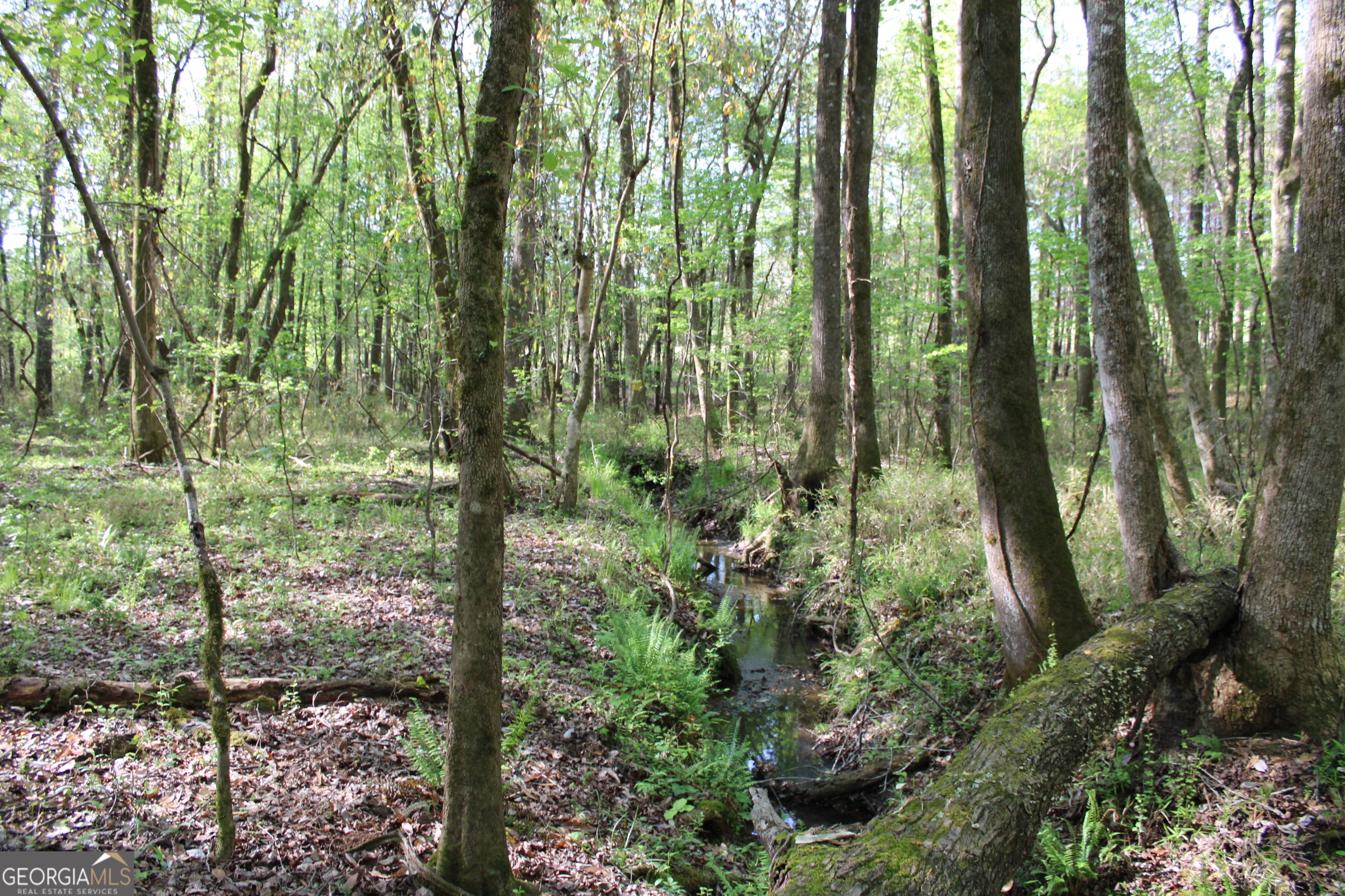 0 Ruffner Road Property Photo 33