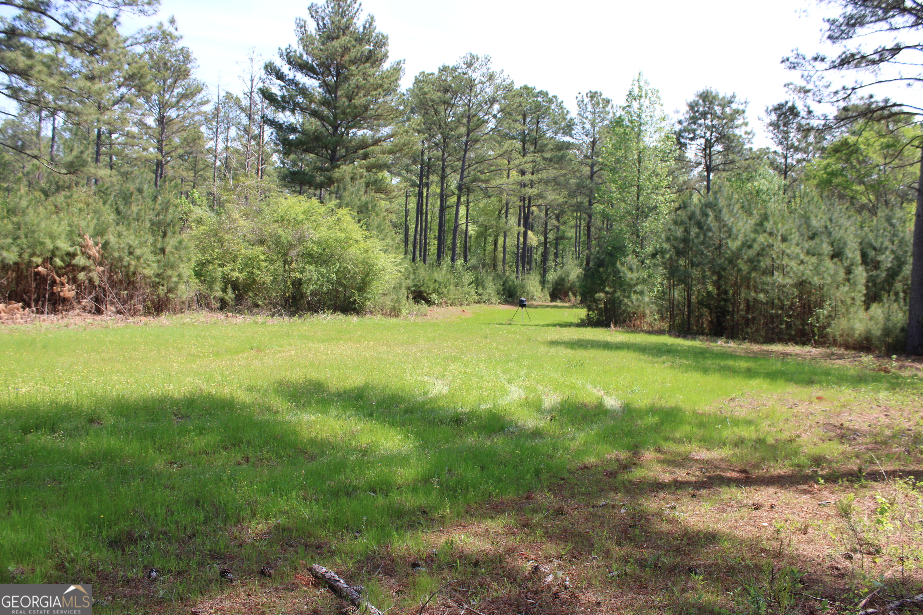 0 Ruffner Road Property Photo 34