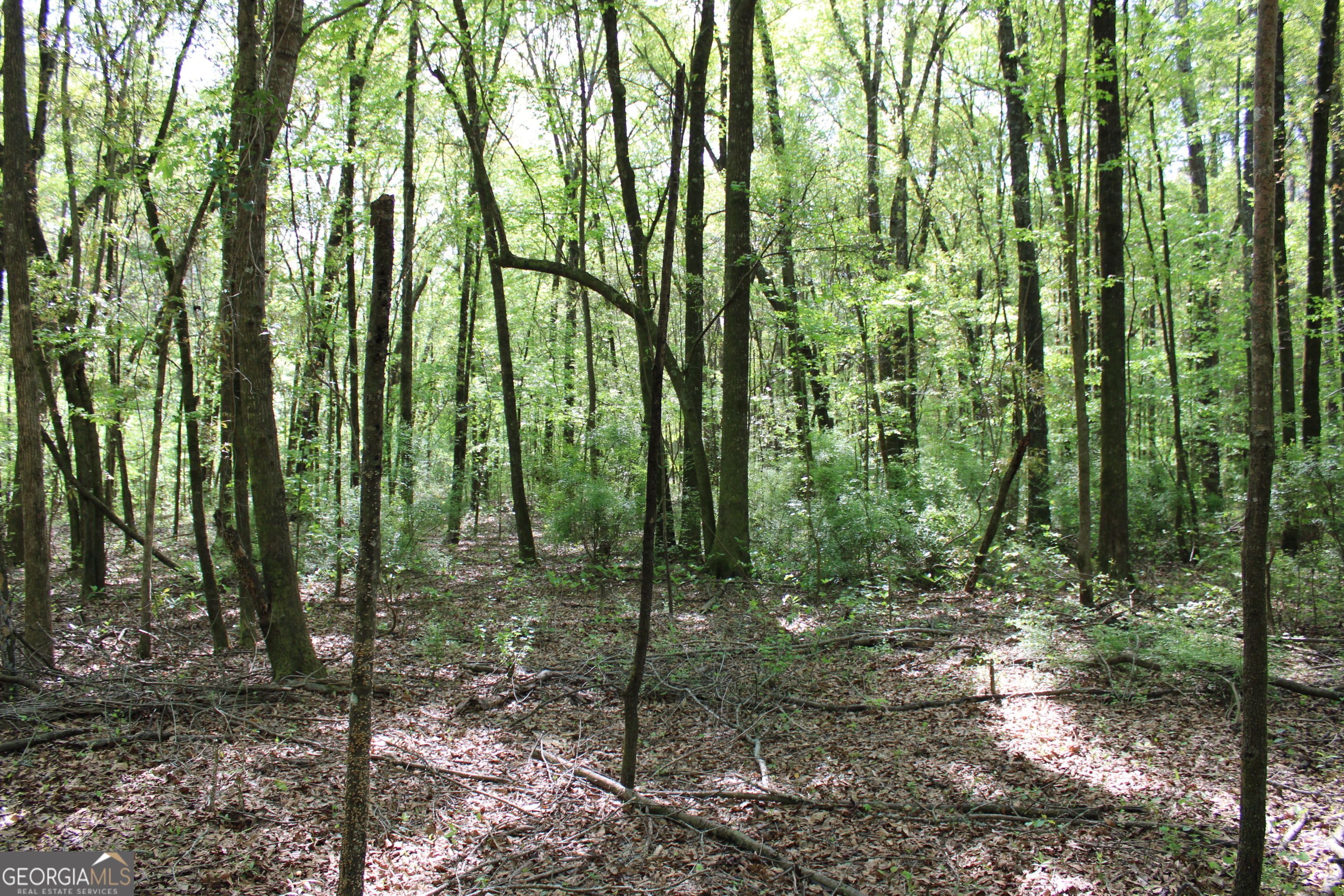 0 Ruffner Road Property Photo 39