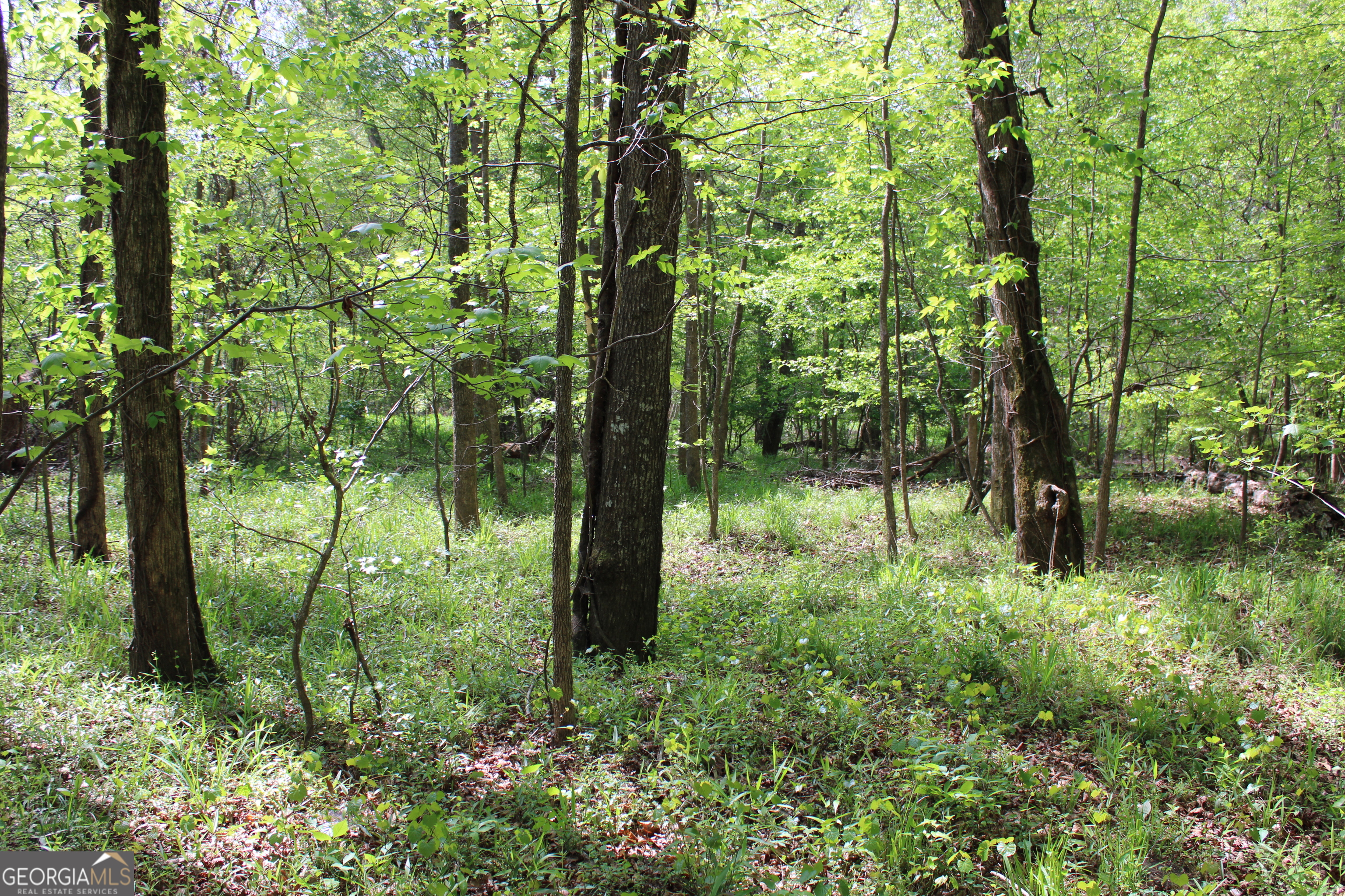 0 Ruffner Road Property Photo 40