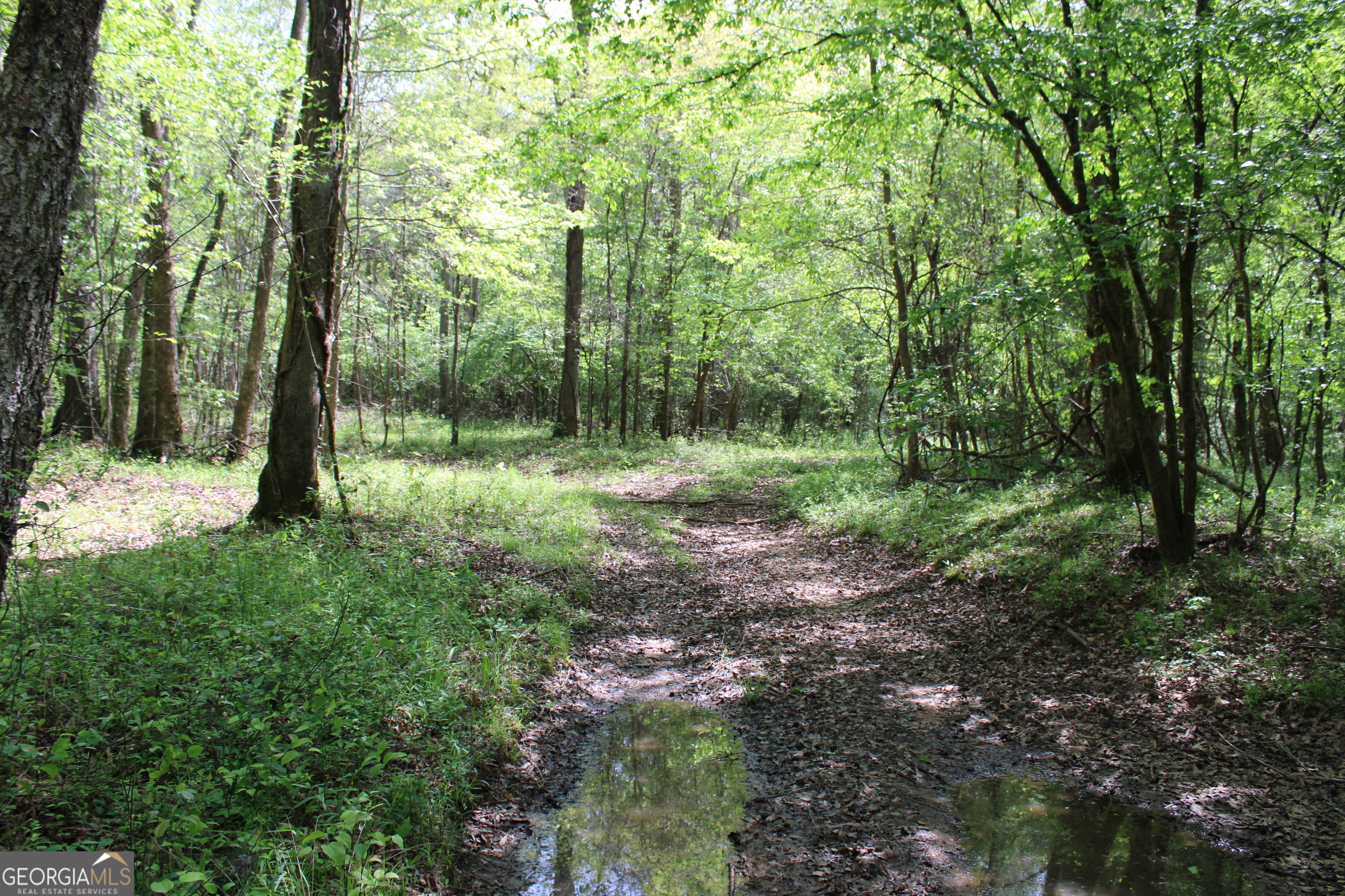 0 Ruffner Road Property Photo 41