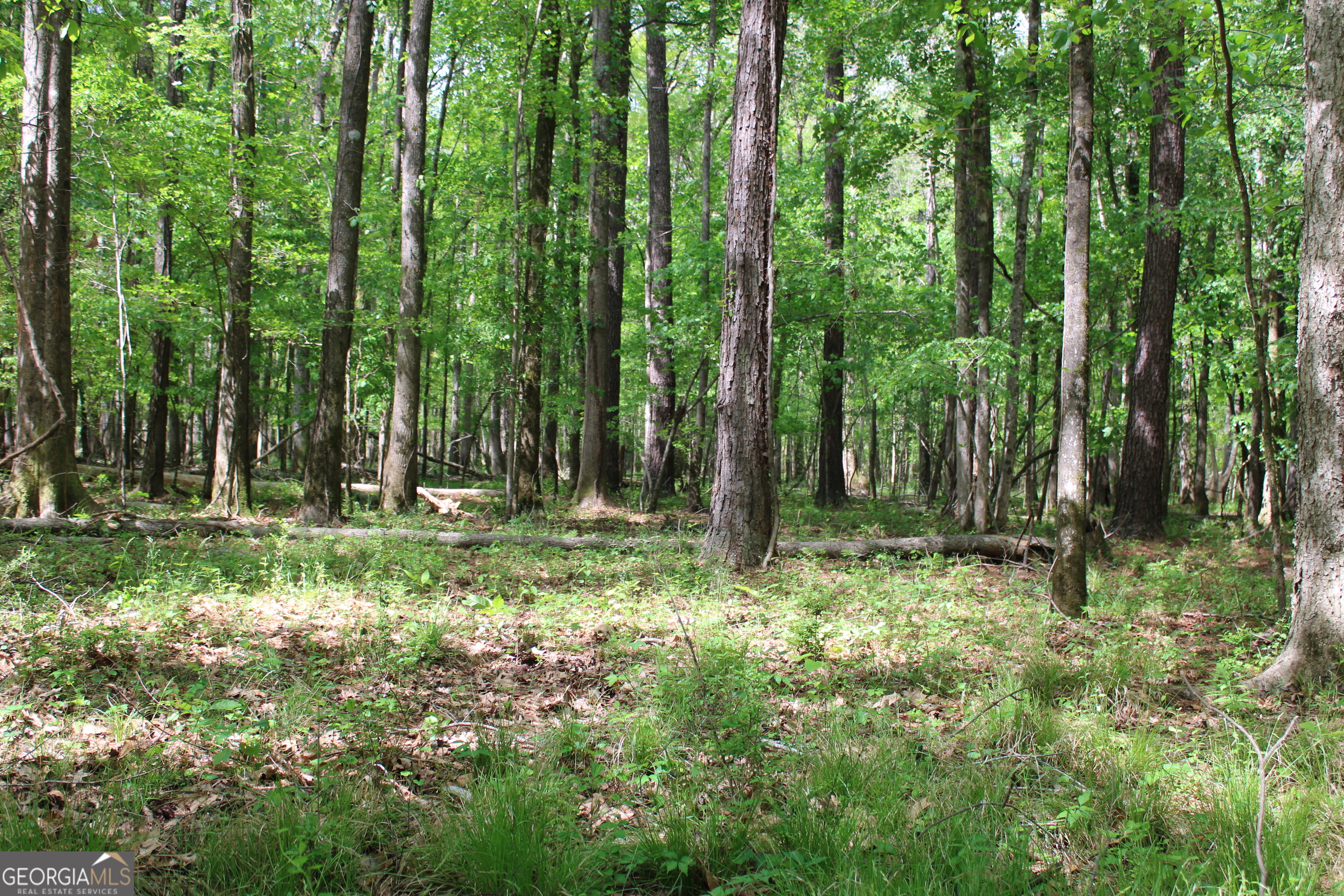 0 Ruffner Road Property Photo 47