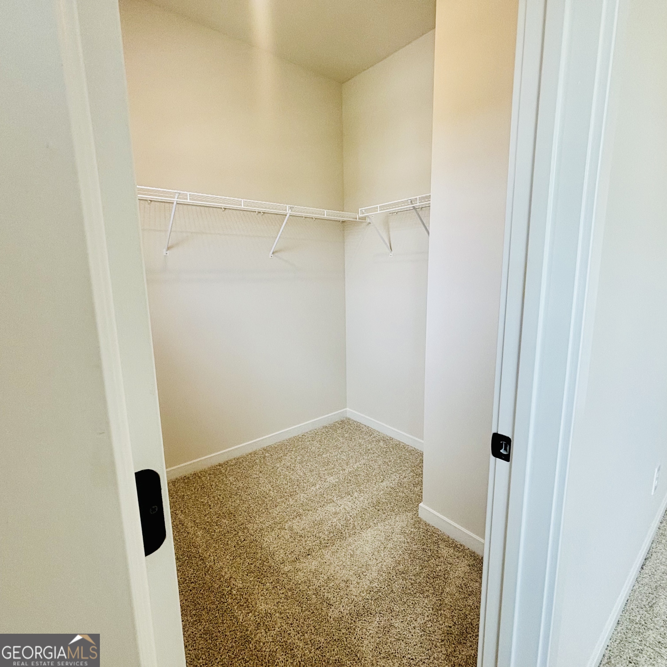 326 Scarlett Rose Way Property Photo 29