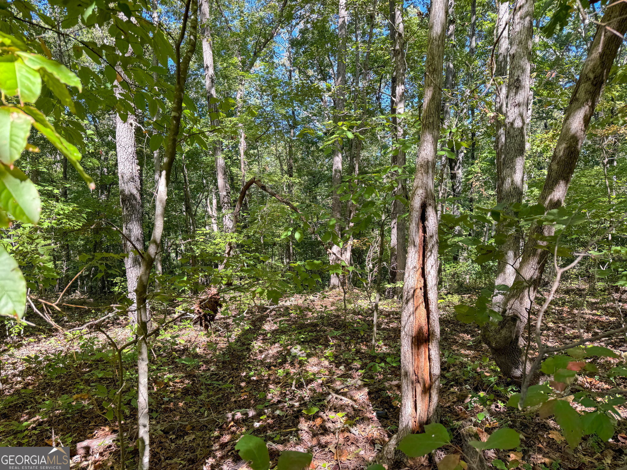 0 (barrington Subd) 16 Approved Property Photo 14