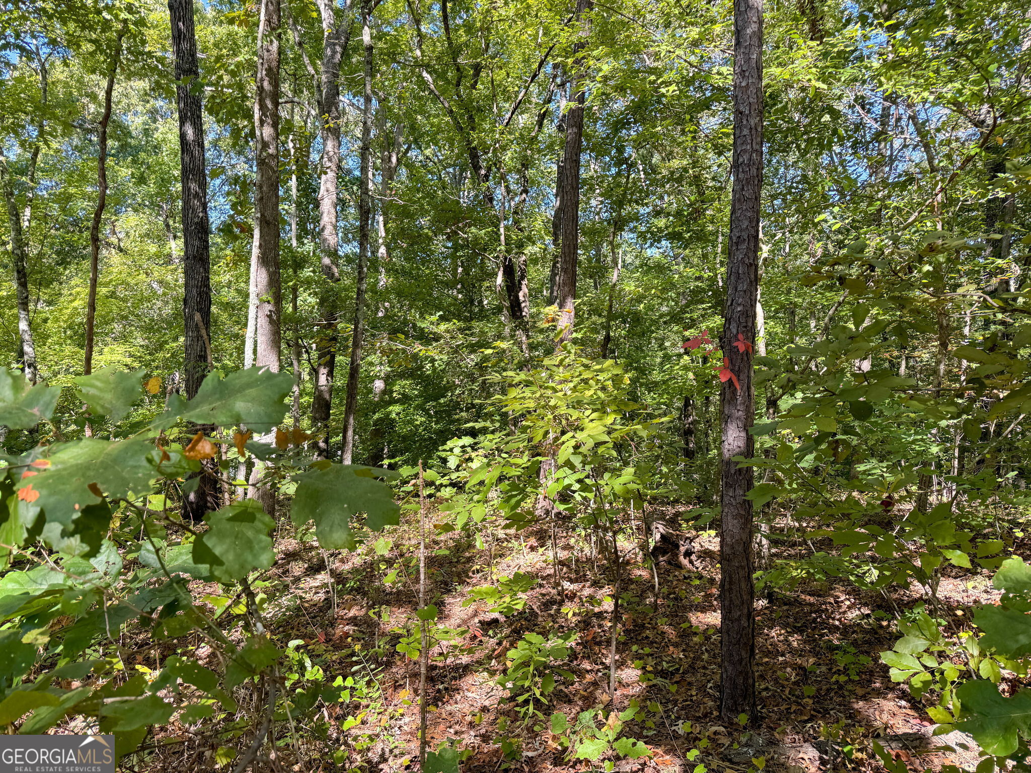 0 (barrington Subd) 16 Approved Property Photo 16