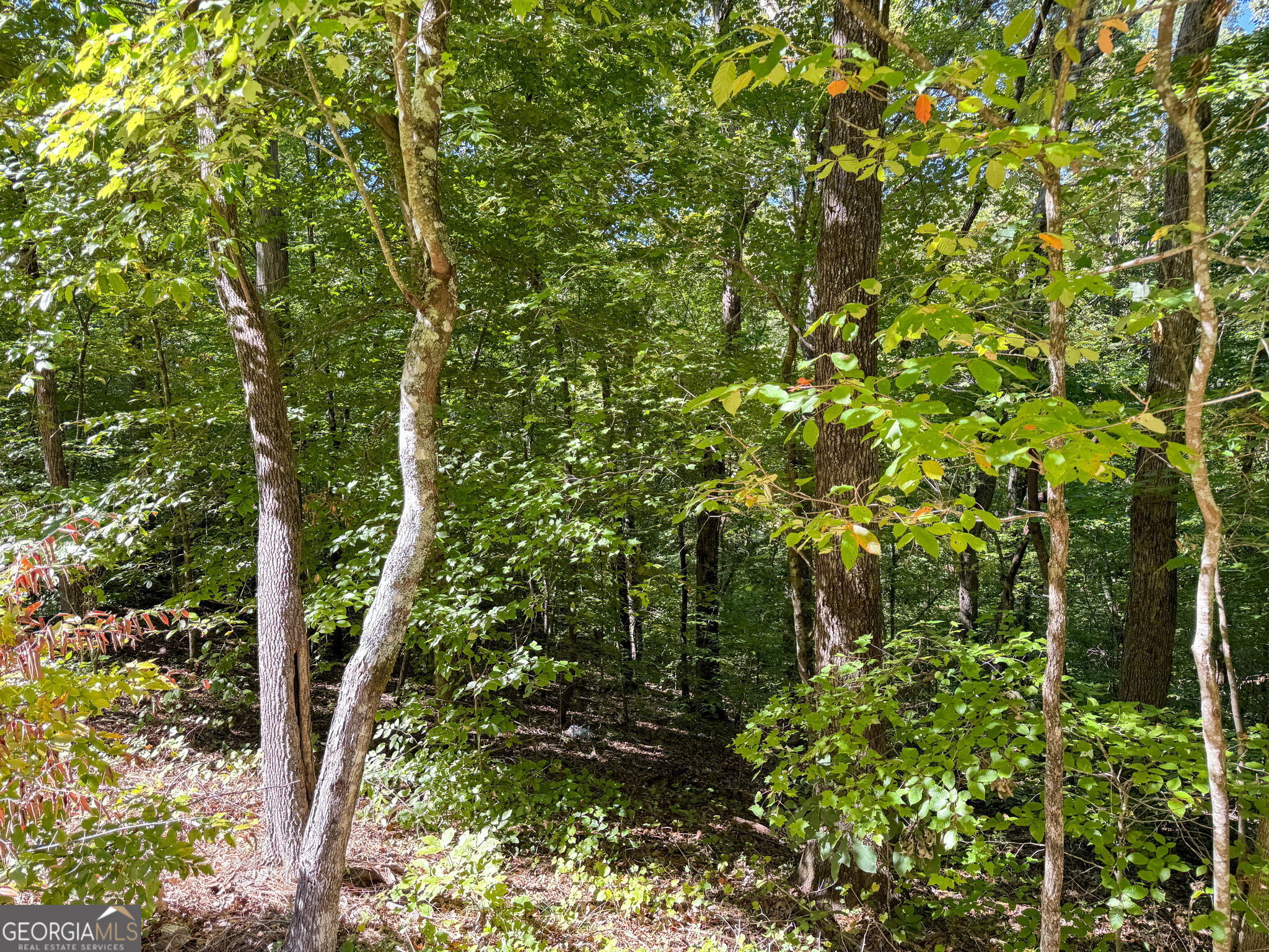 0 (barrington Subd) 16 Approved Property Photo 26