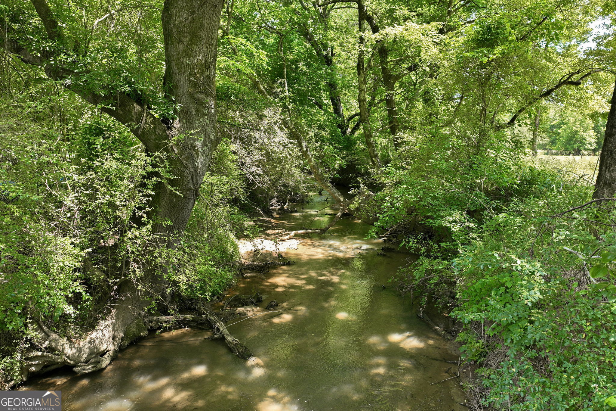 1270 Highway 53 Property Photo 35
