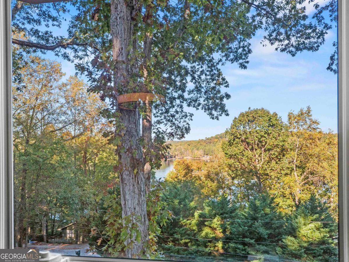 6185 Timberidge Drive Property Photo 10