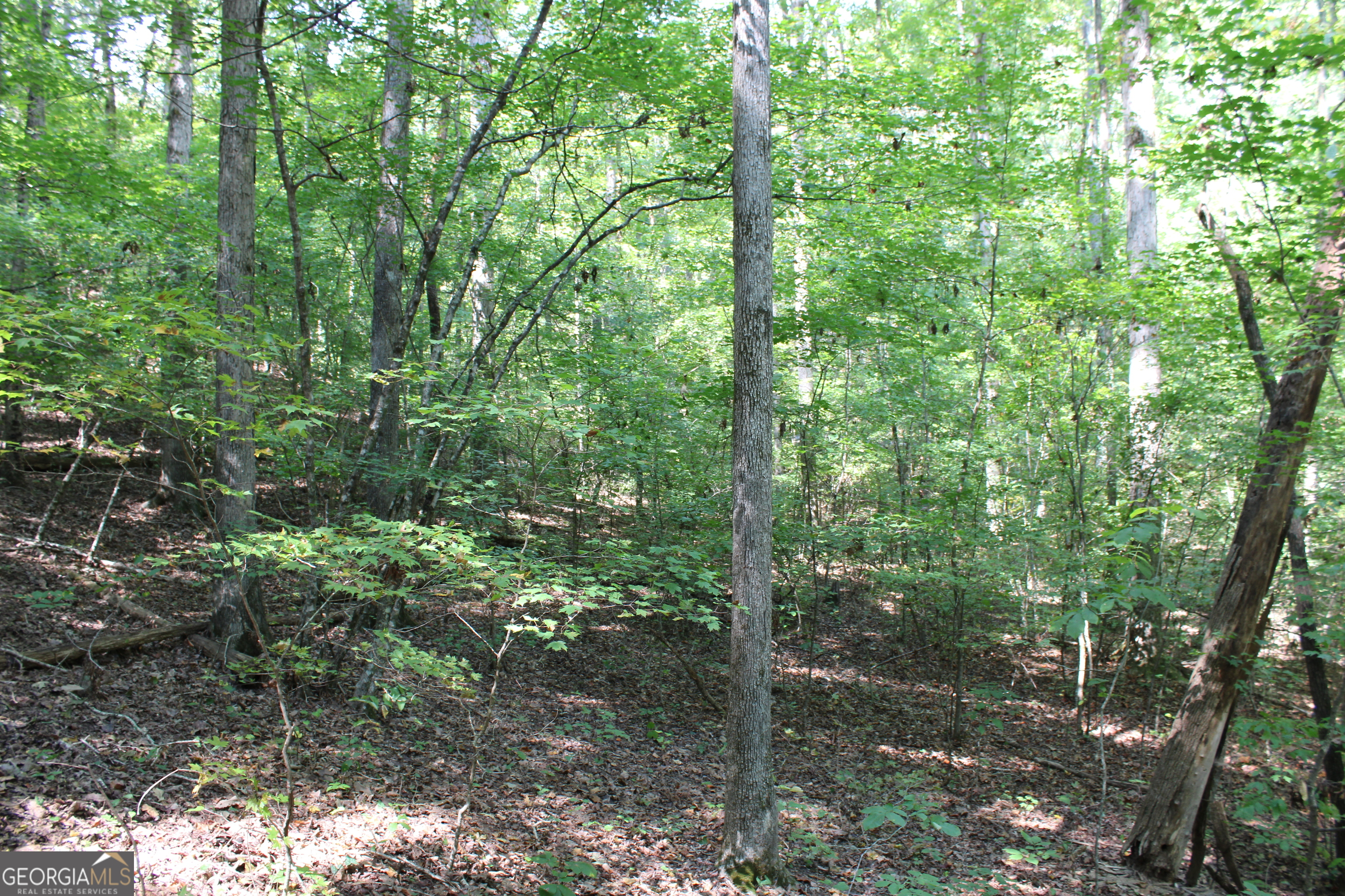 0 Conniston Road Property Photo 13