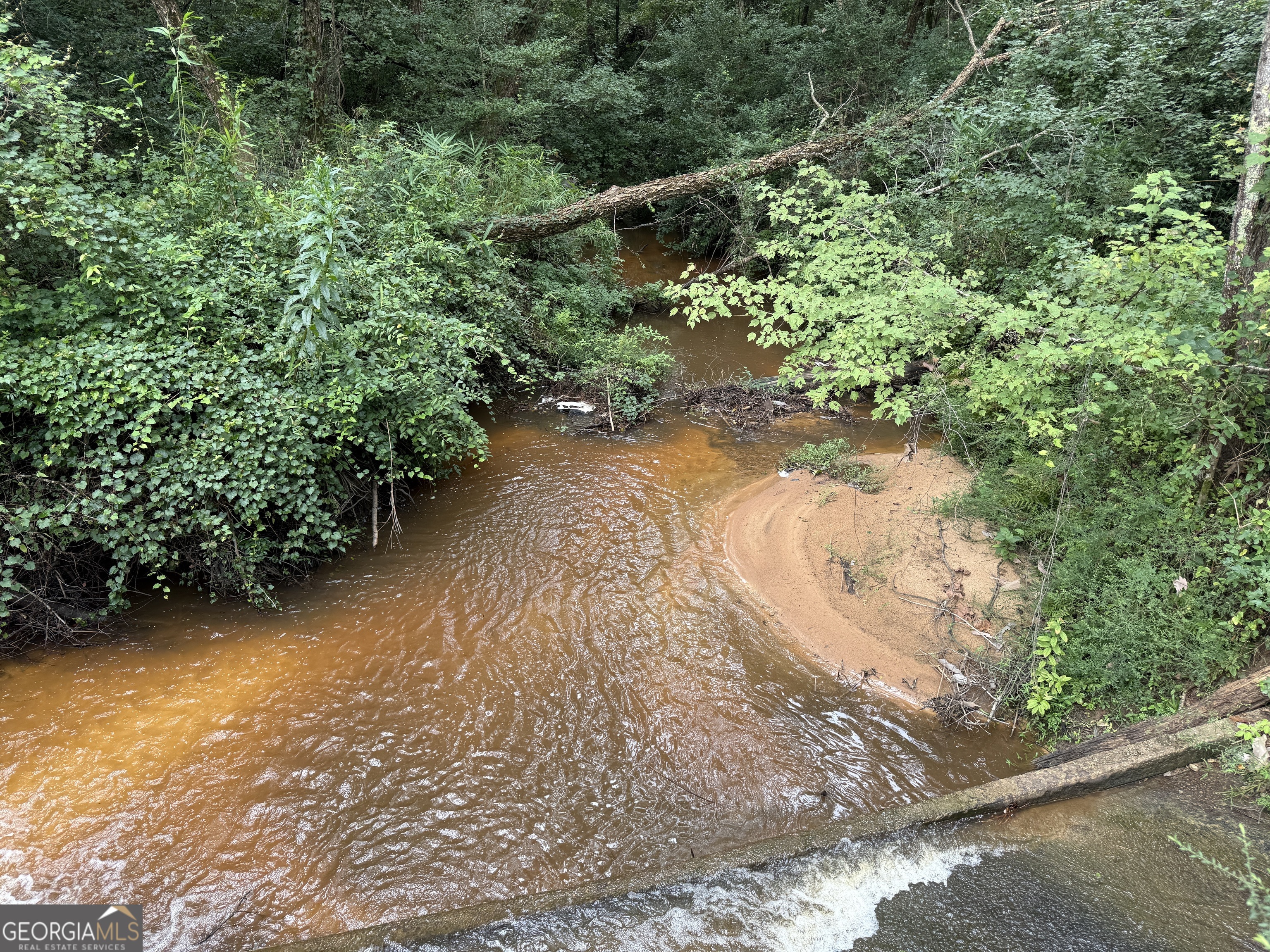 39.87 Acres Irby Road Property Photo 4