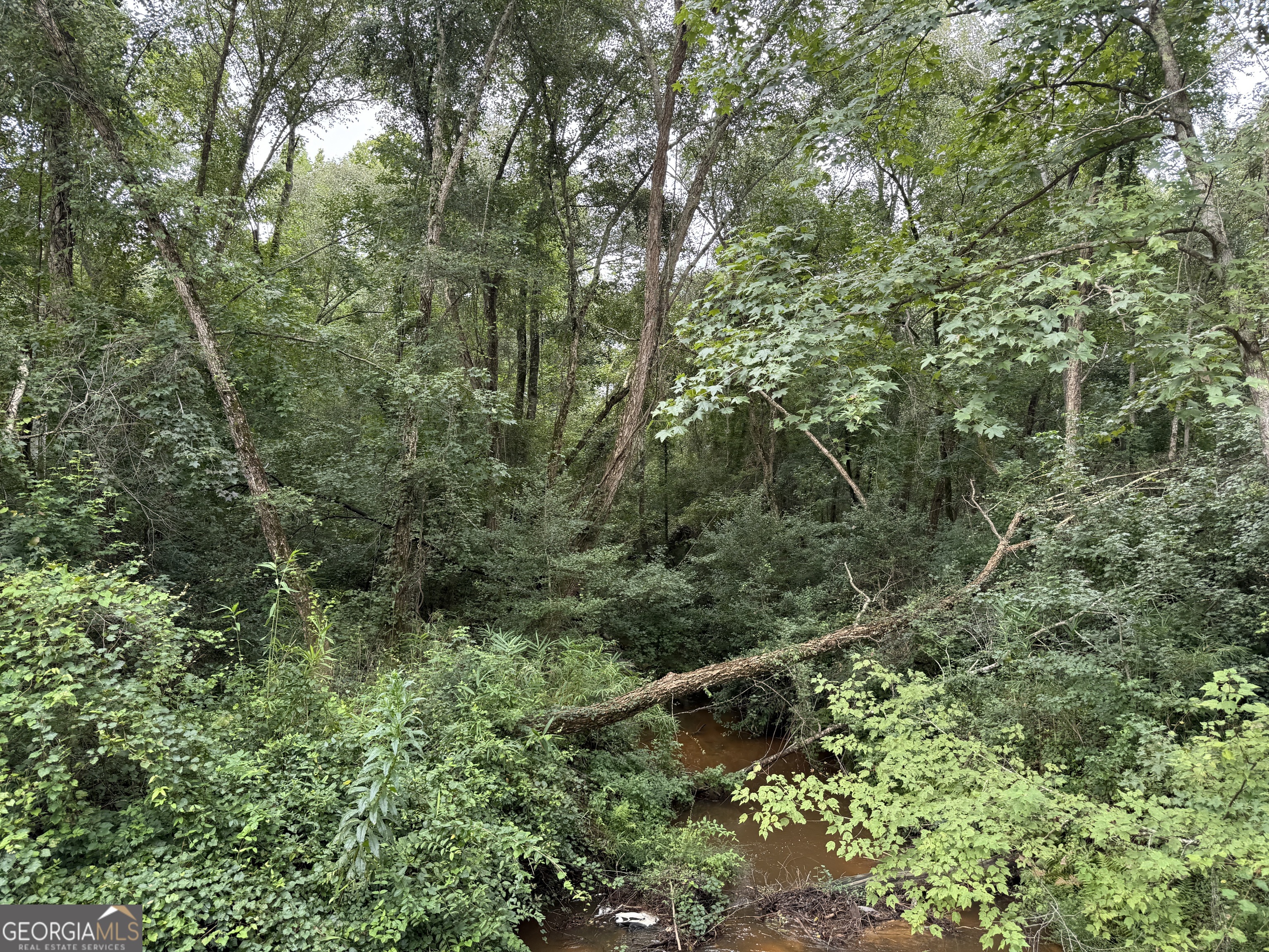 39.87 Acres Irby Road Property Photo 5