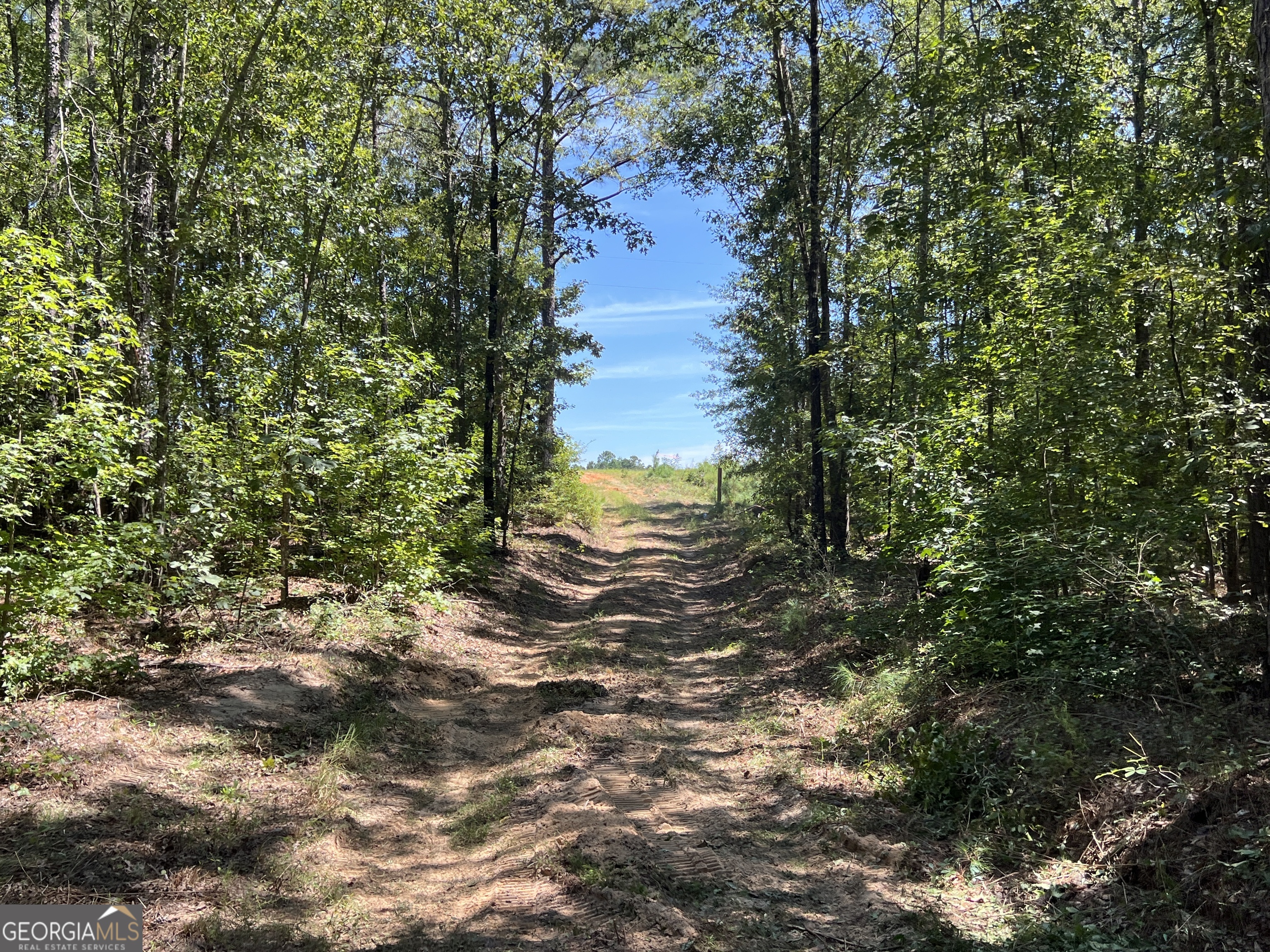 39.87 Acres Irby Road Property Photo 8