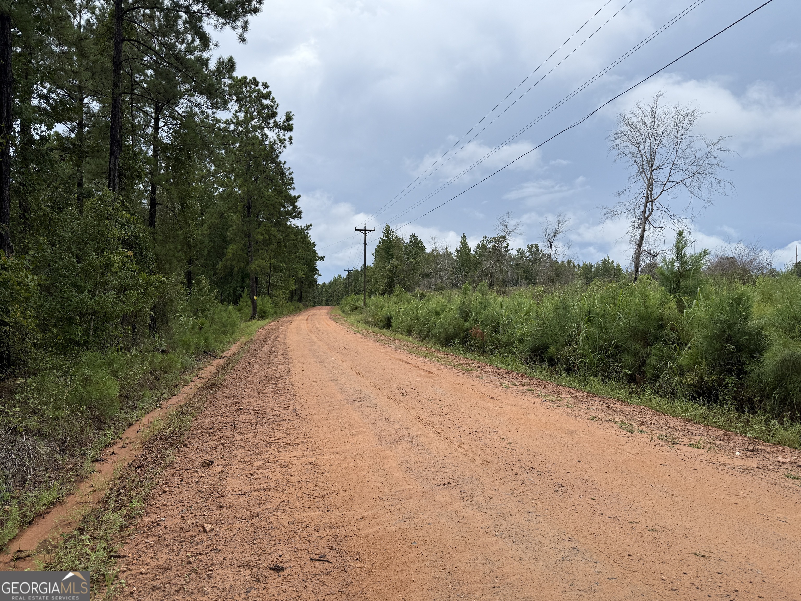 39.87 Acres Irby Road Property Photo 9